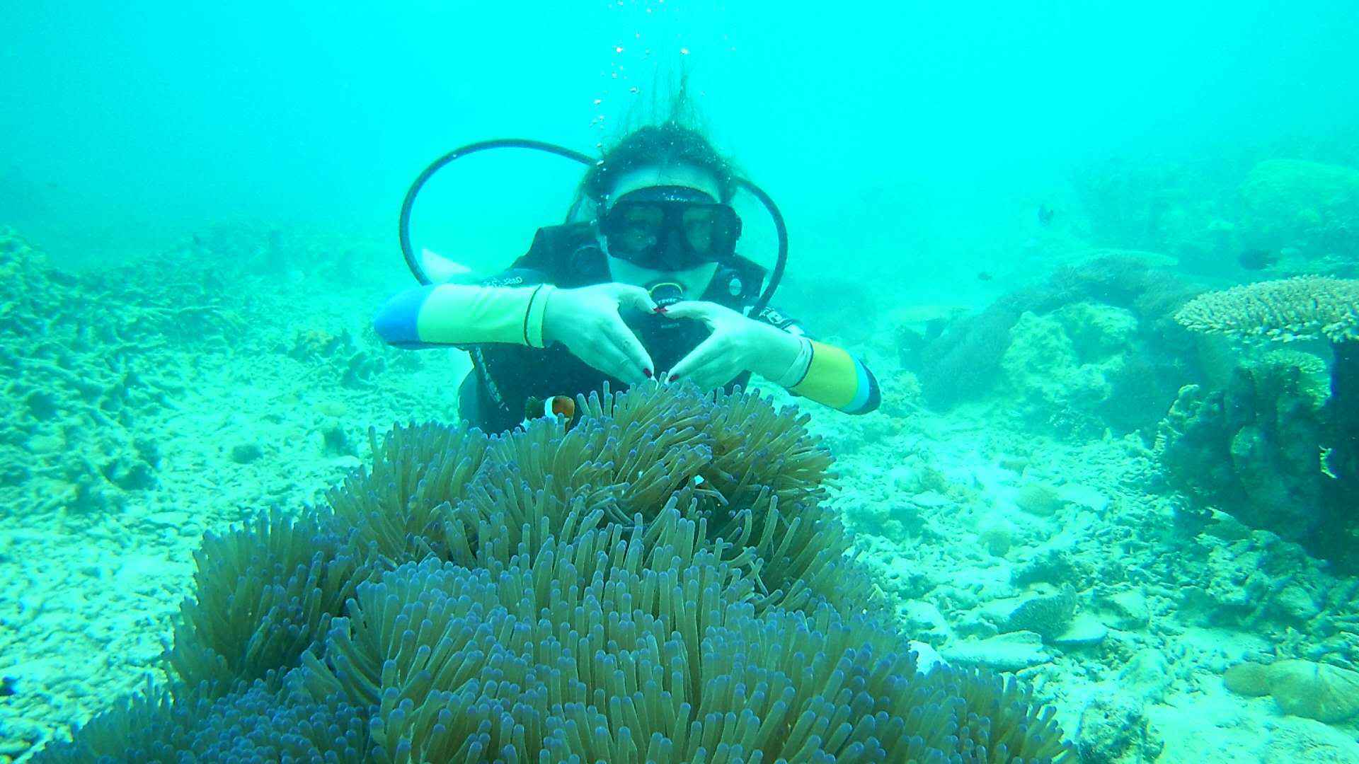 【潜水入坑指南】小白顽强的diver进化史~更新到