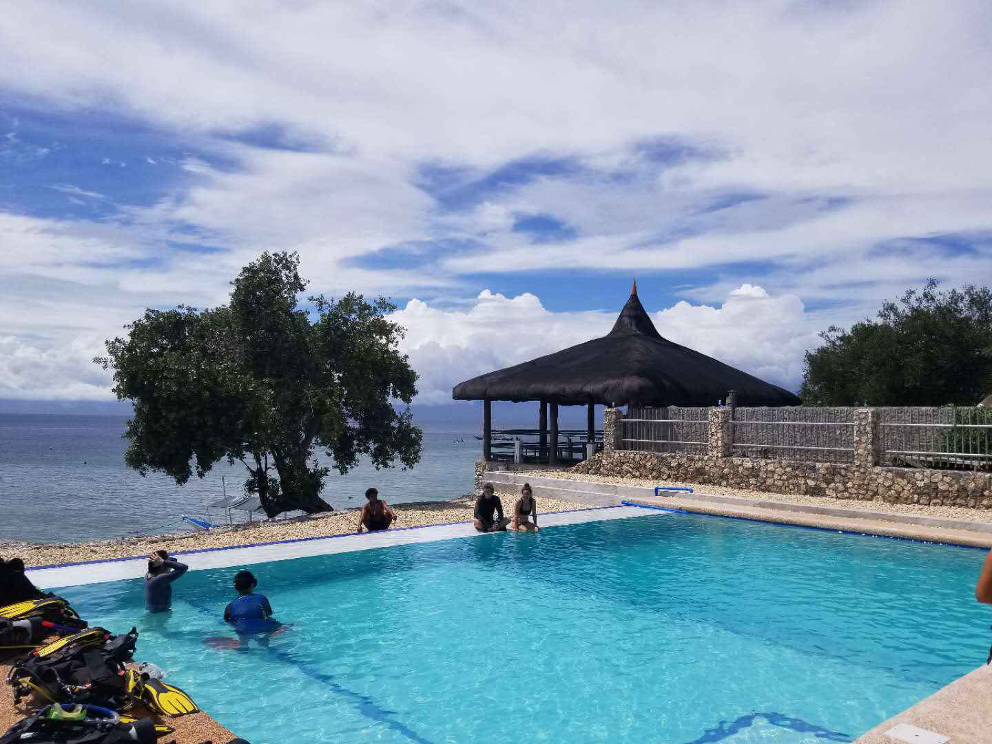 【潜水入坑指南】小白顽强的diver进化史~更新到