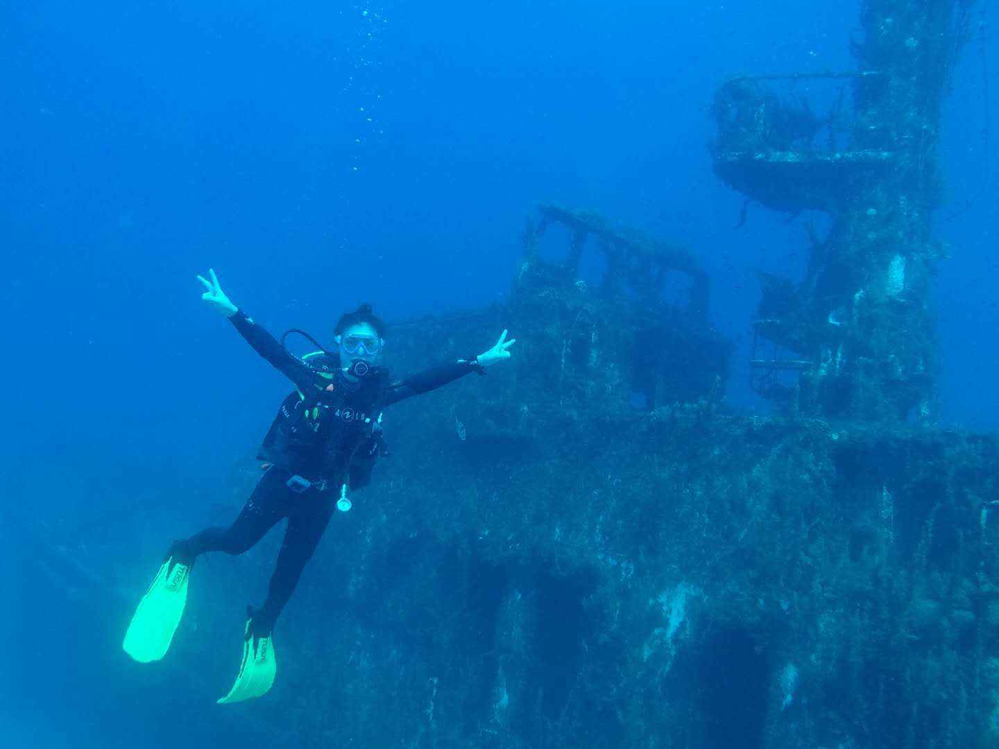 【潜水入坑指南】小白顽强的diver进化史~更新到