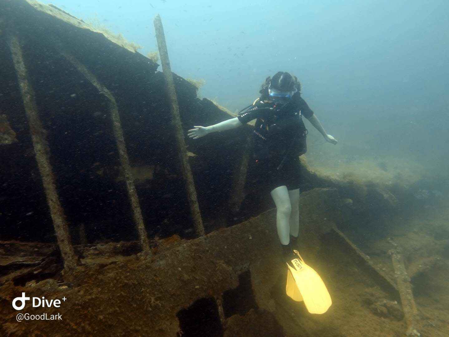 【潜水入坑指南】小白顽强的diver进化史~更新到