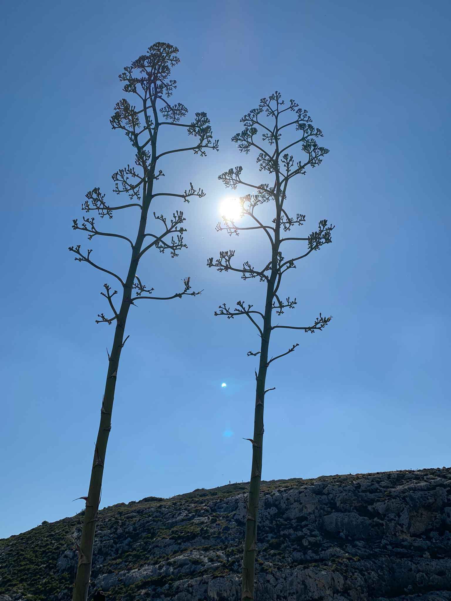 2019 101 环球之旅 Peace boat 99days，day 31（5/24）,马耳