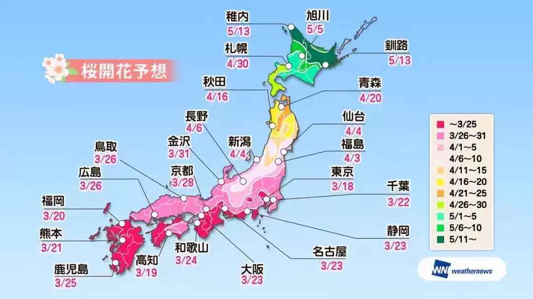 2019日本樱花绽放时间表出炉，错过等一年！