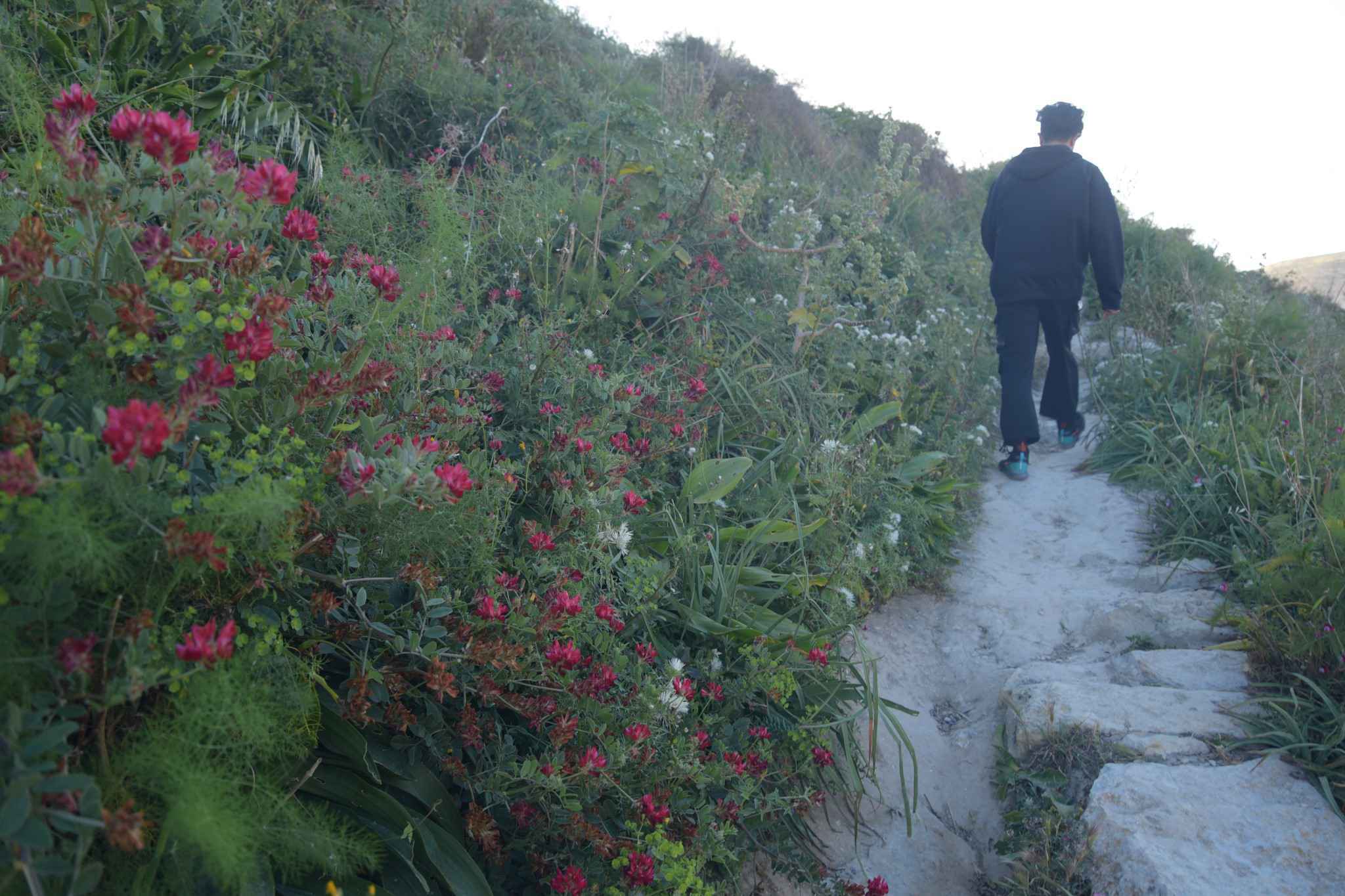马耳他：二刷gozo岛 故地重游 尽情撒野,马耳他自