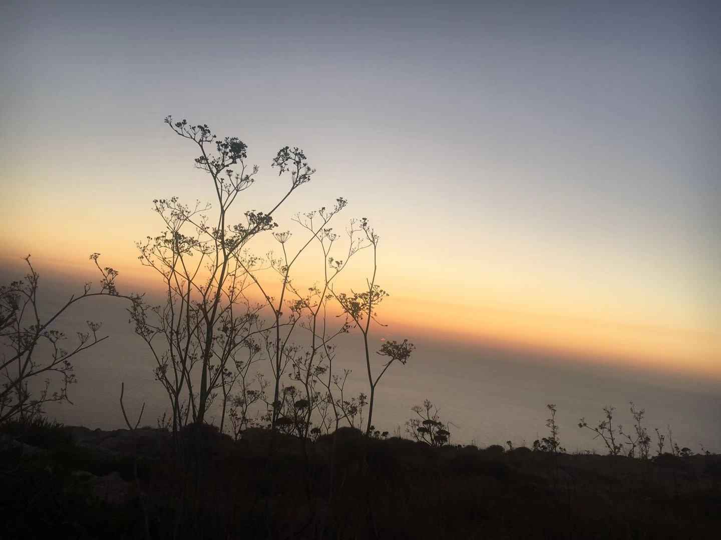 今天的选择决定你明年以后的生活