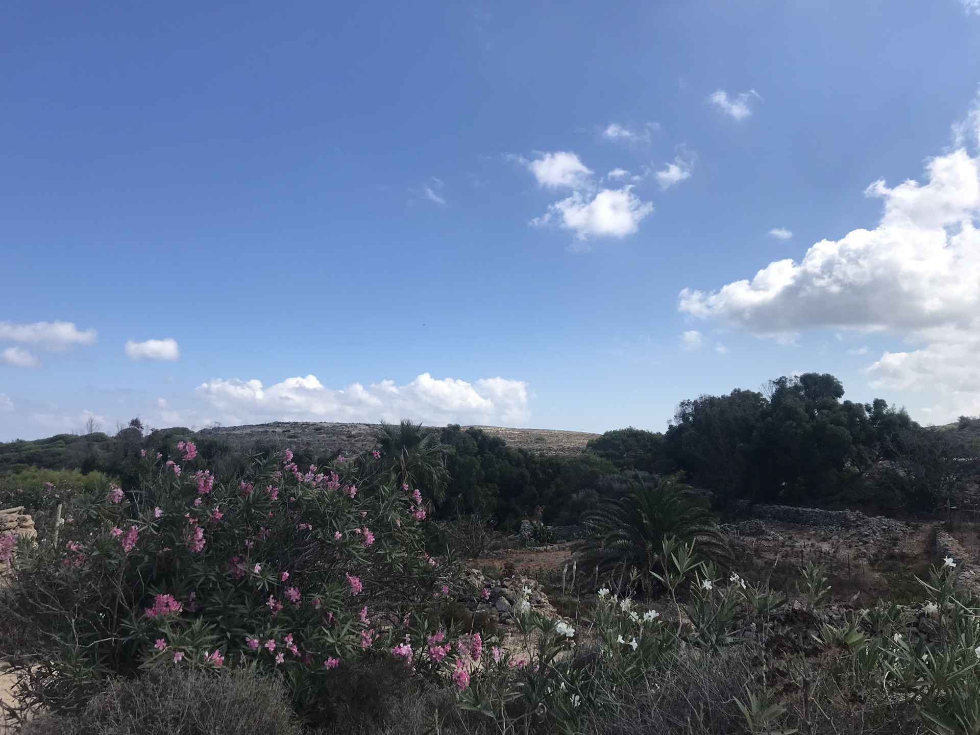 有一种蓝,叫马耳他