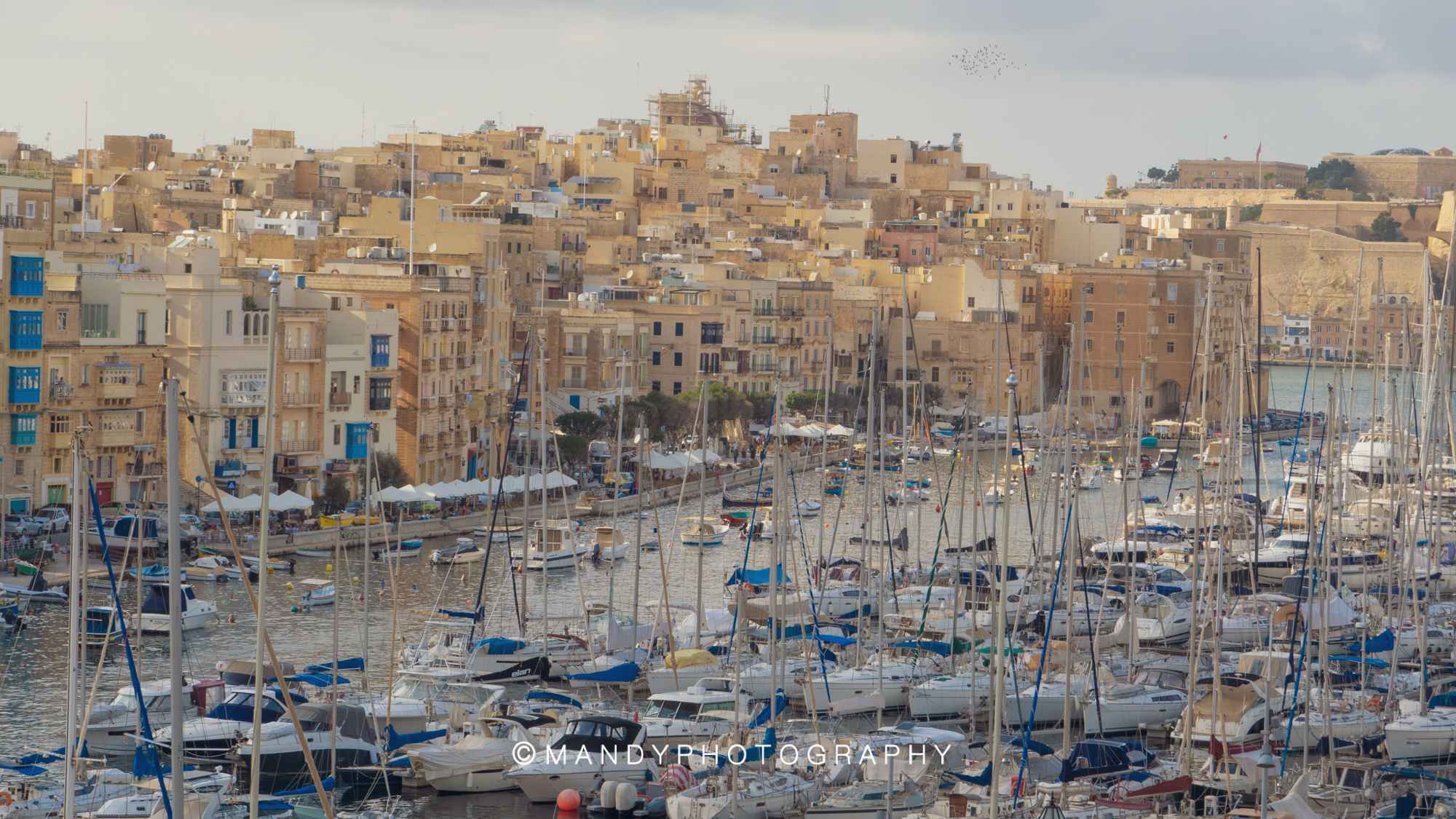 【小蛮弟Mandy】闯入现实版的中世纪城堡:生命该