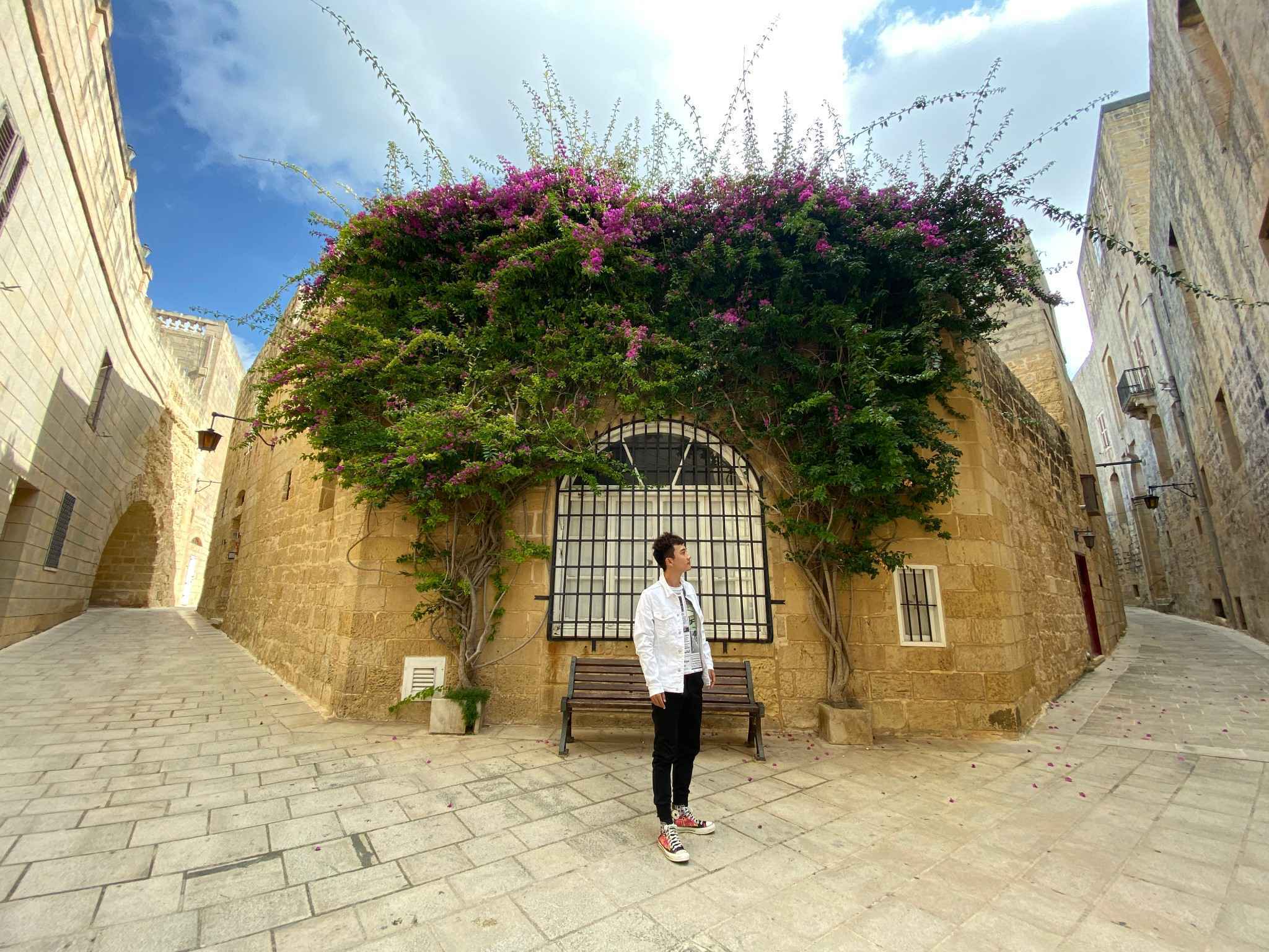 惊喜之旅的代名词,马耳他旅游攻略