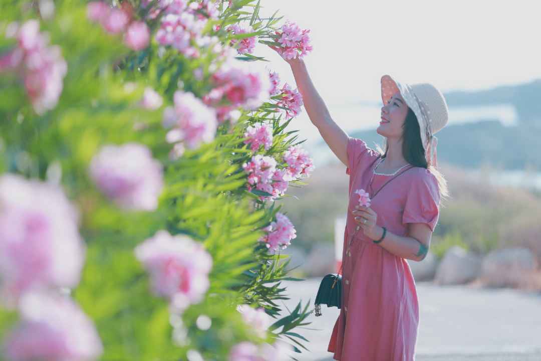 马耳他 ☆ 在所有的告别里面,我最喜欢明天见