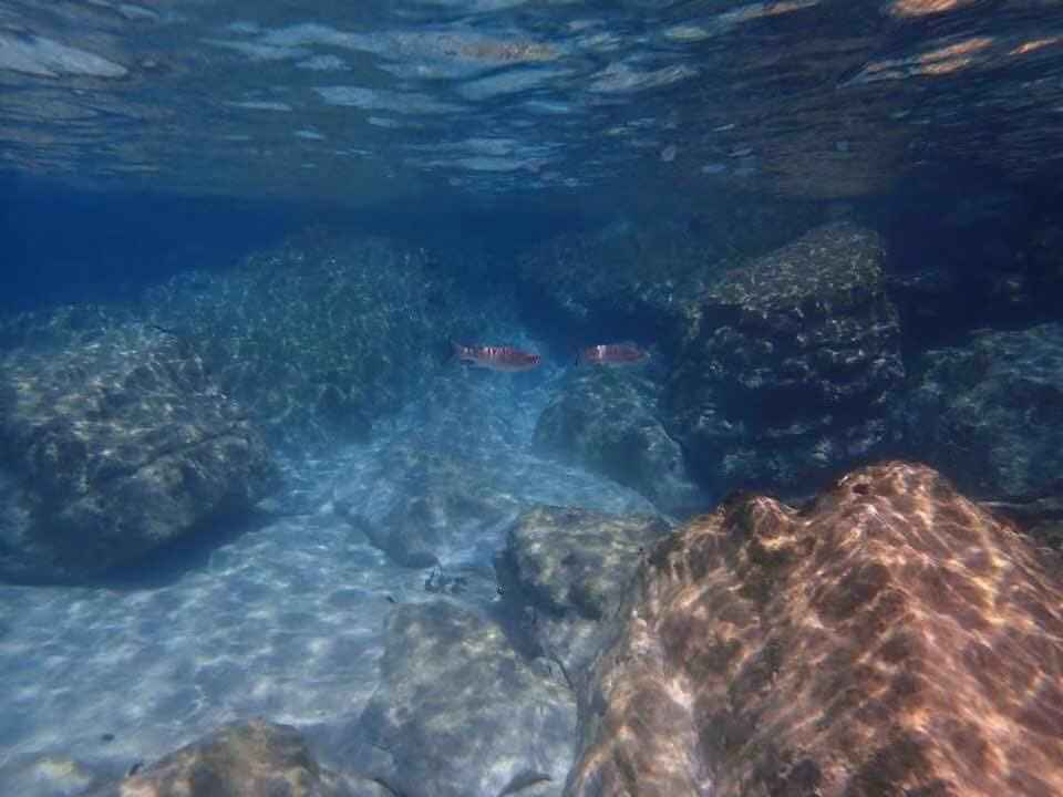 为了遇见更好的明天!Let's go!,马耳他旅游攻略