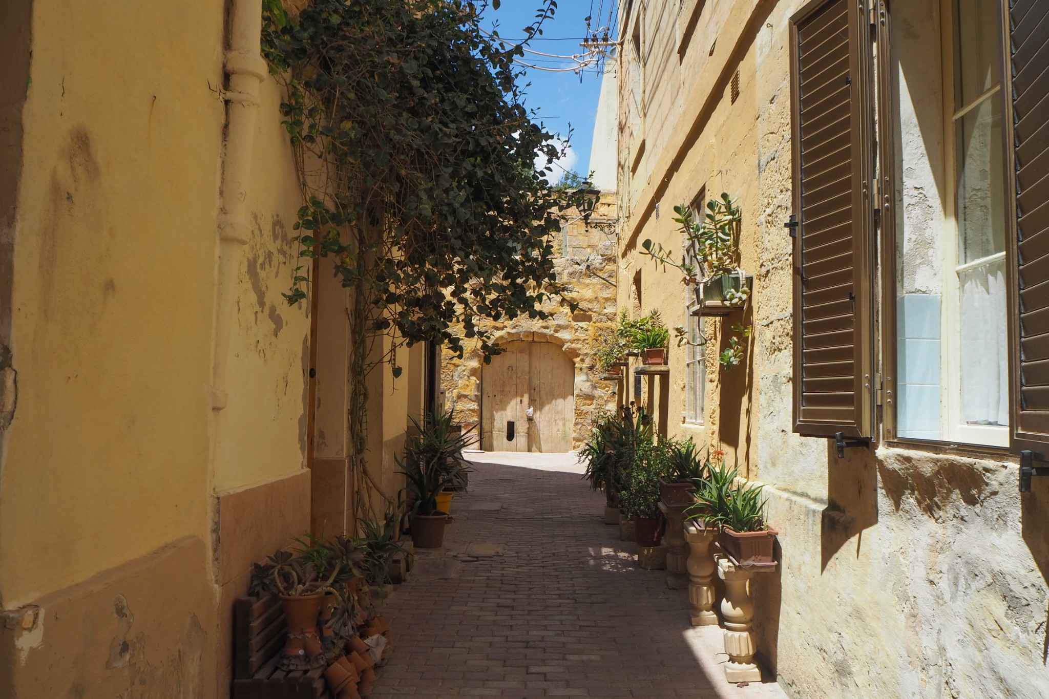 100+张照片带你看遍地中海岛国的蓝,绿,黄,马