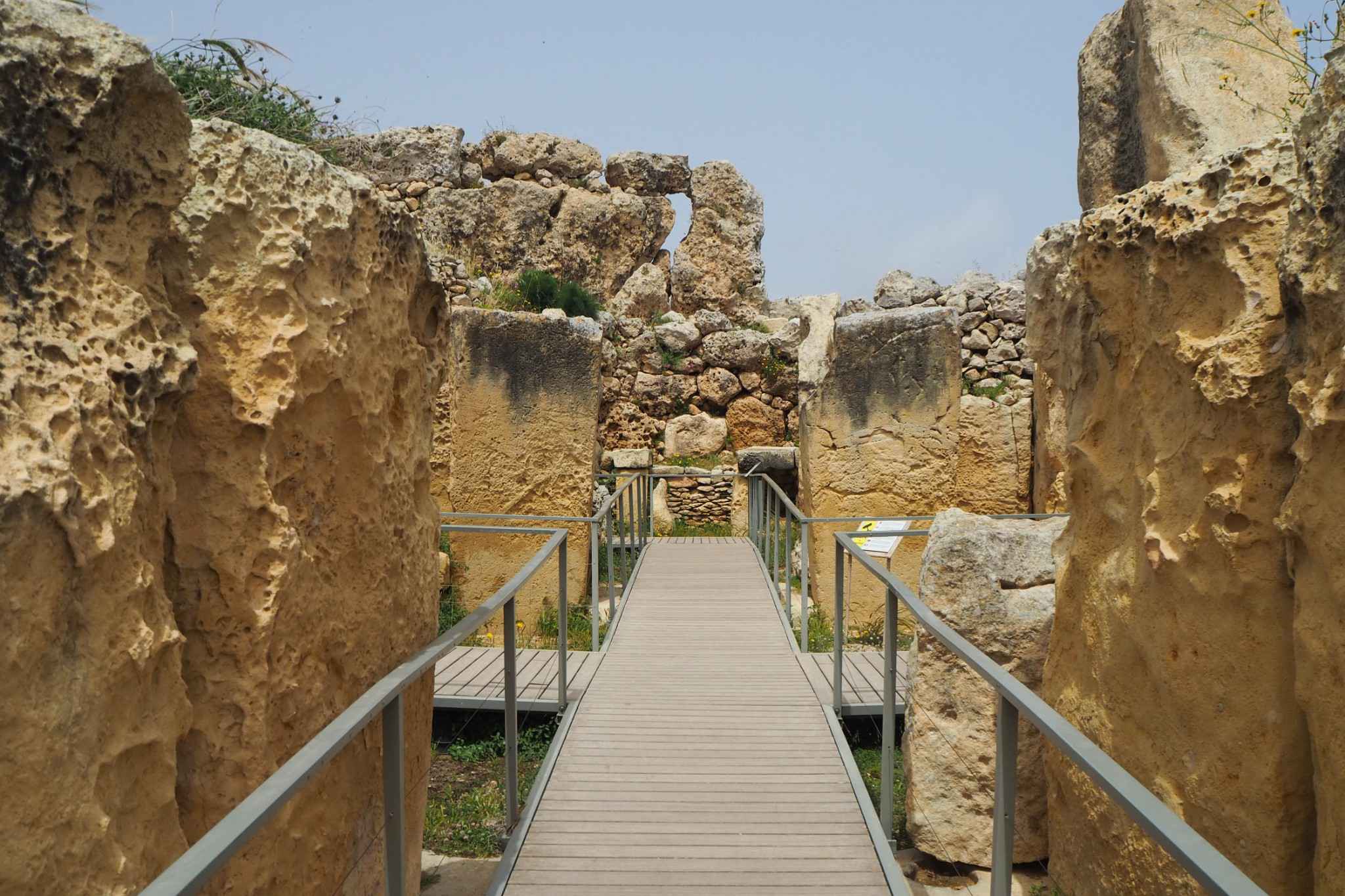 100+张照片带你看遍地中海岛国的蓝，绿，黄,马