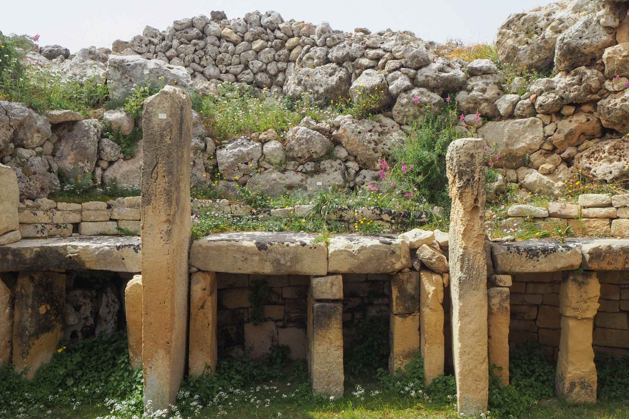 100+张照片带你看遍地中海岛国的蓝，绿，黄,马
