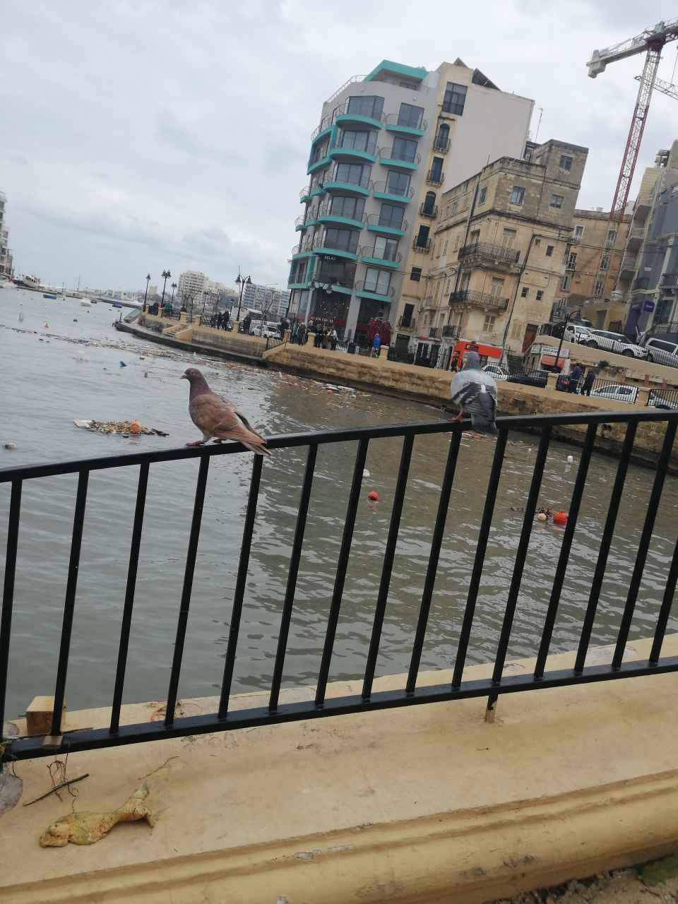 马耳他游学篇,马耳他自助游攻略