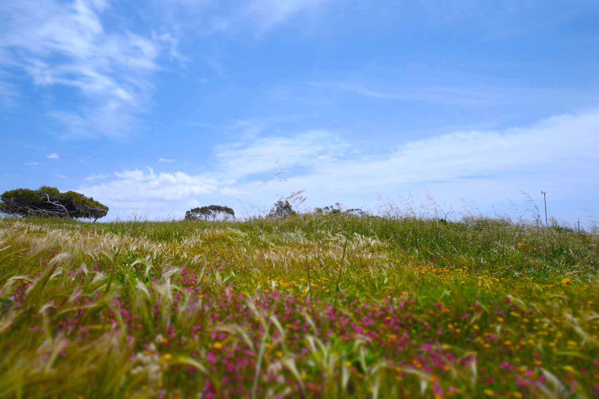 马耳他公共交通一周自由行,马耳他自助游攻略