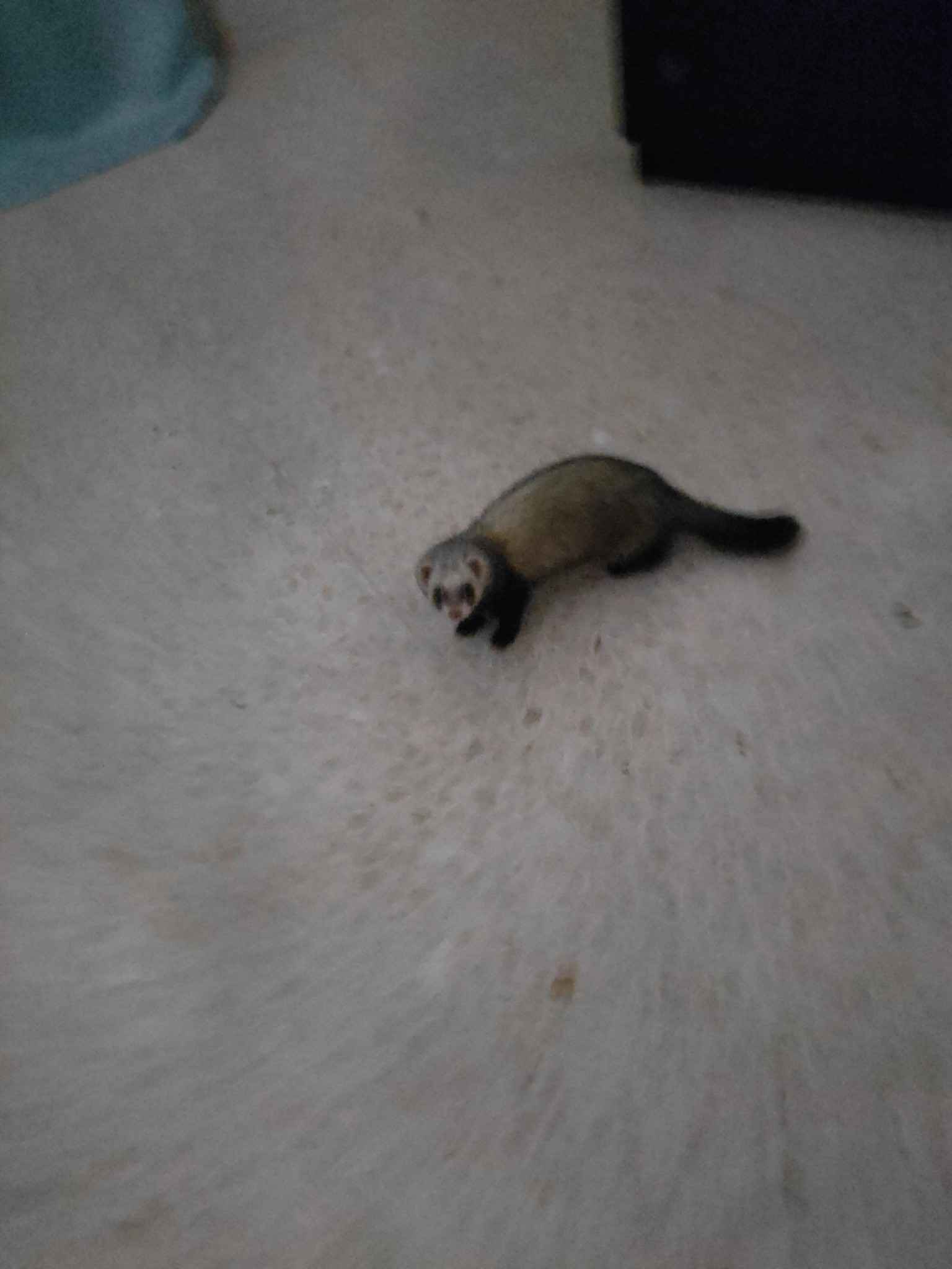 如果天堂不是我想的那样,就把我送回马耳他吧