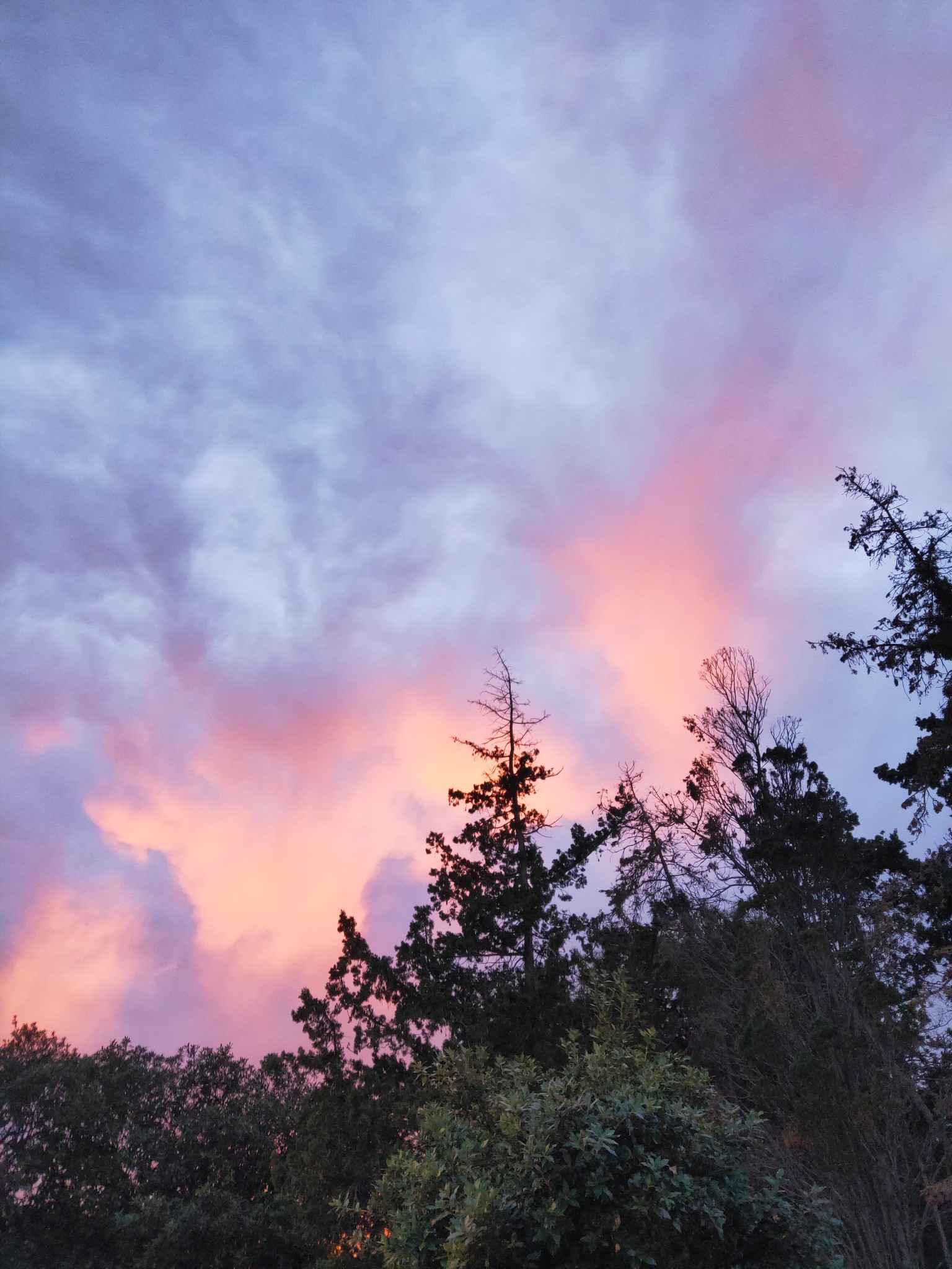 如果天堂不是我想的那样，就把我送回马耳他吧