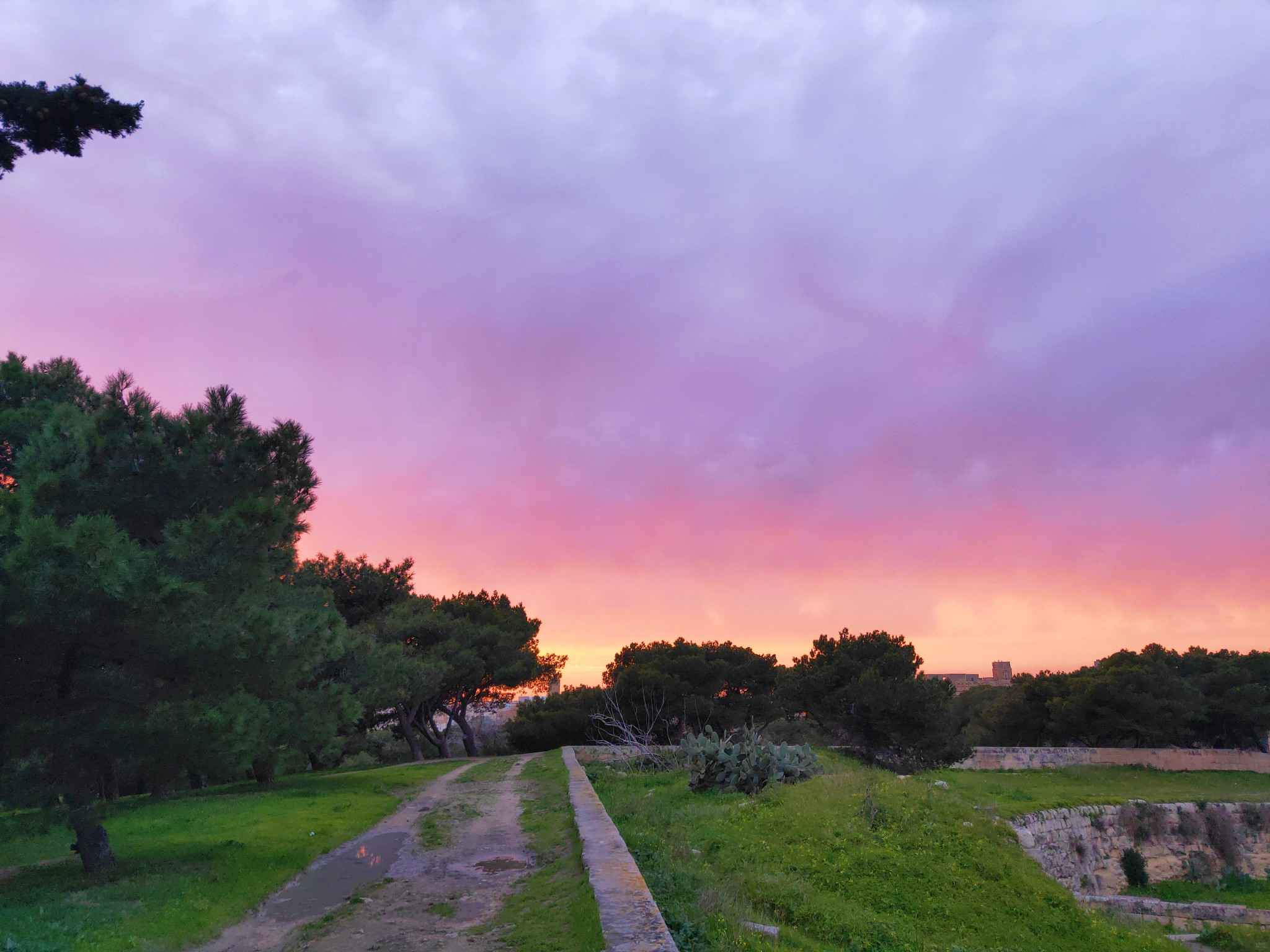 如果天堂不是我想的那样，就把我送回马耳他吧