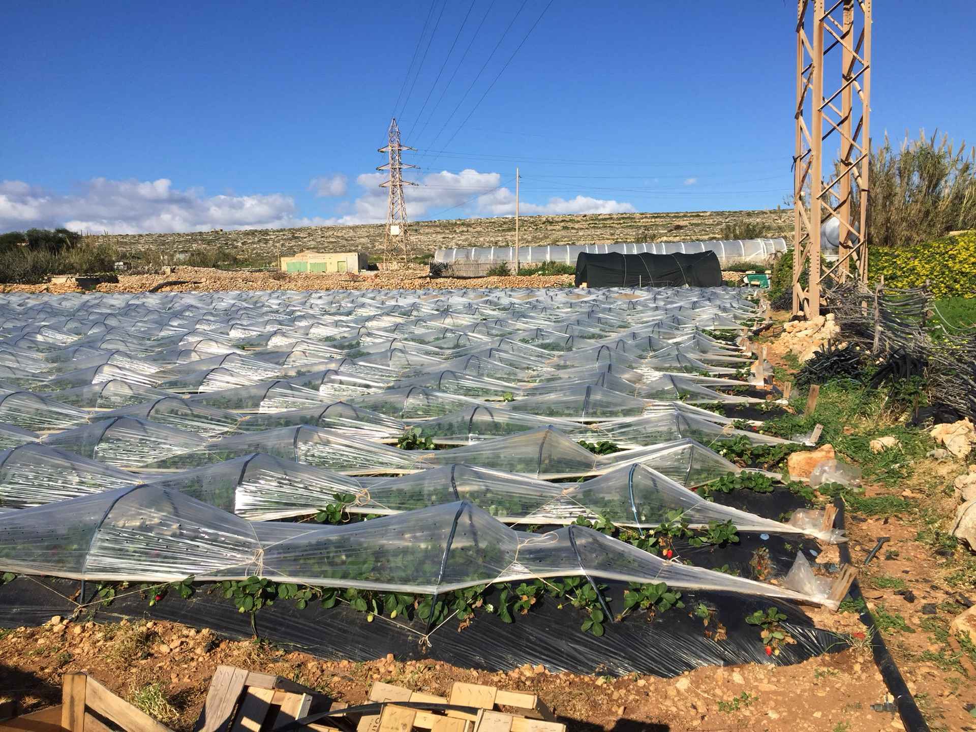 此水蔚蓝 马耳他圣诞七日谈 六,马耳他自助游攻