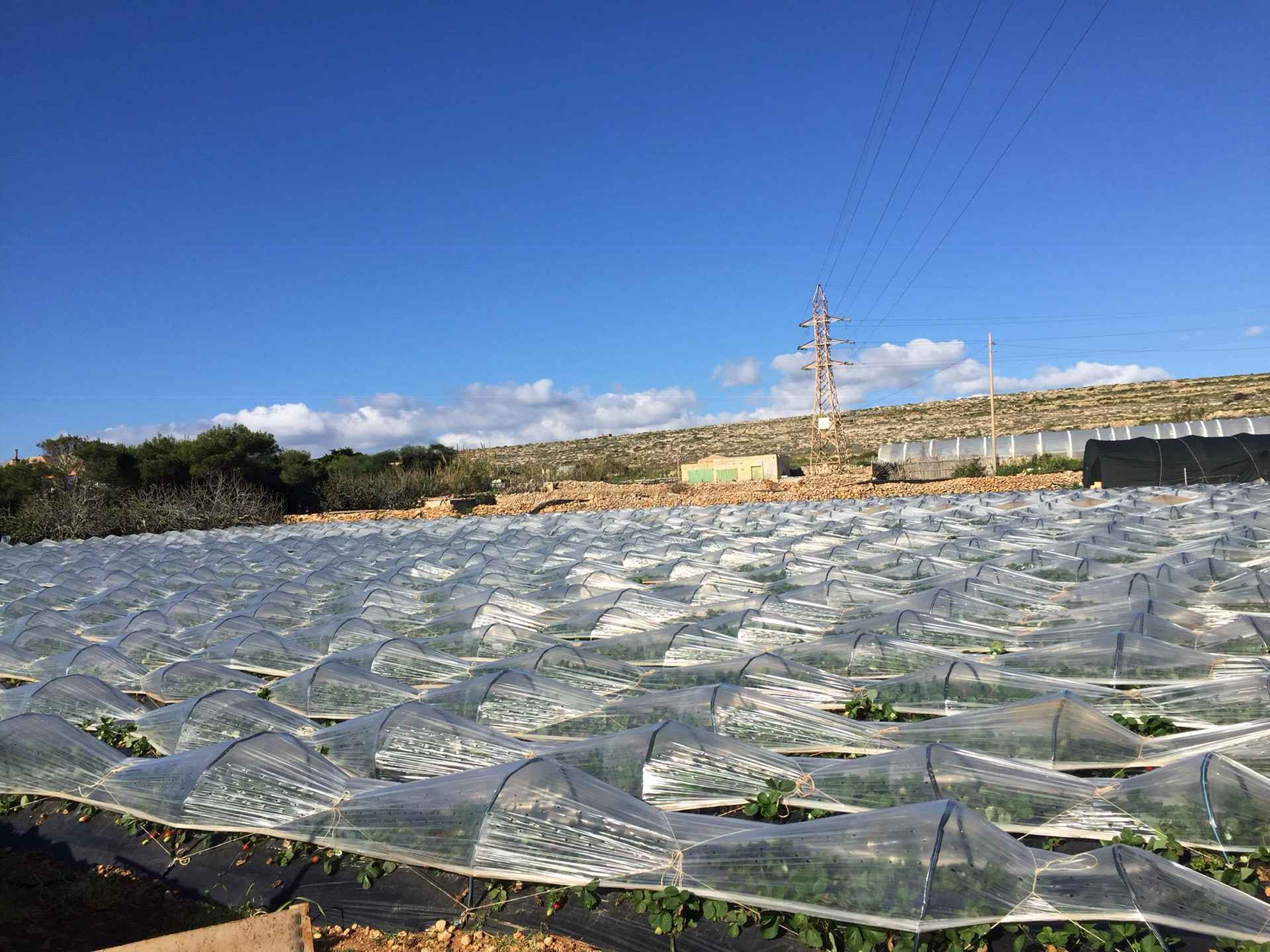 此水蔚蓝 马耳他圣诞七日谈 六,马耳他自助游攻