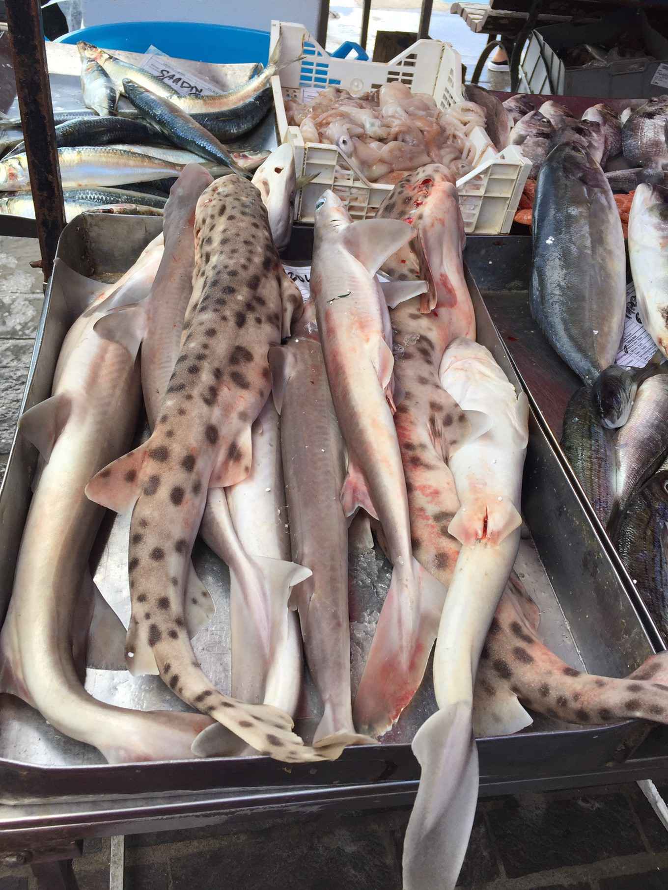 马耳他主岛,马耳他旅游攻略