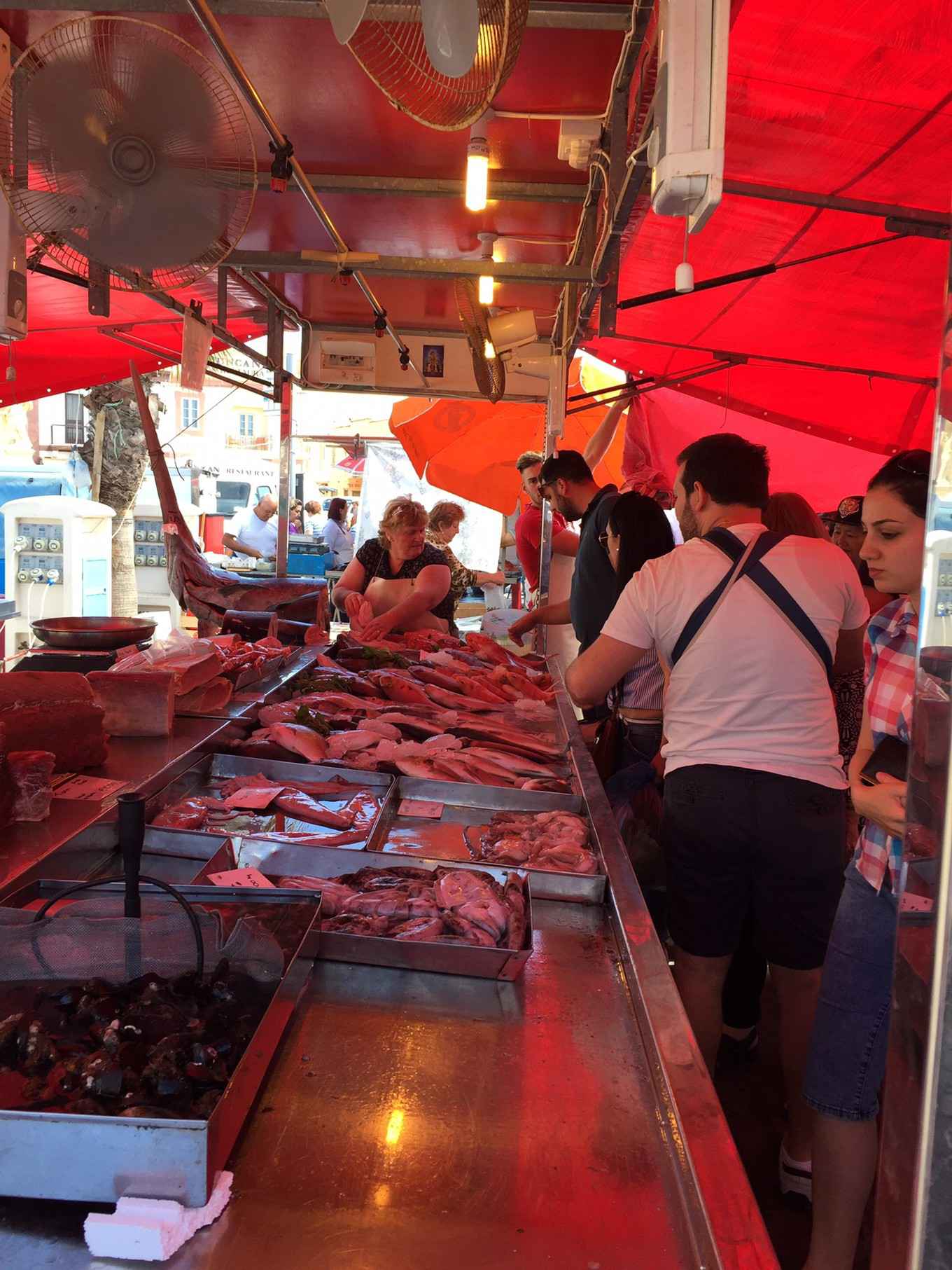 马耳他主岛,马耳他旅游攻略