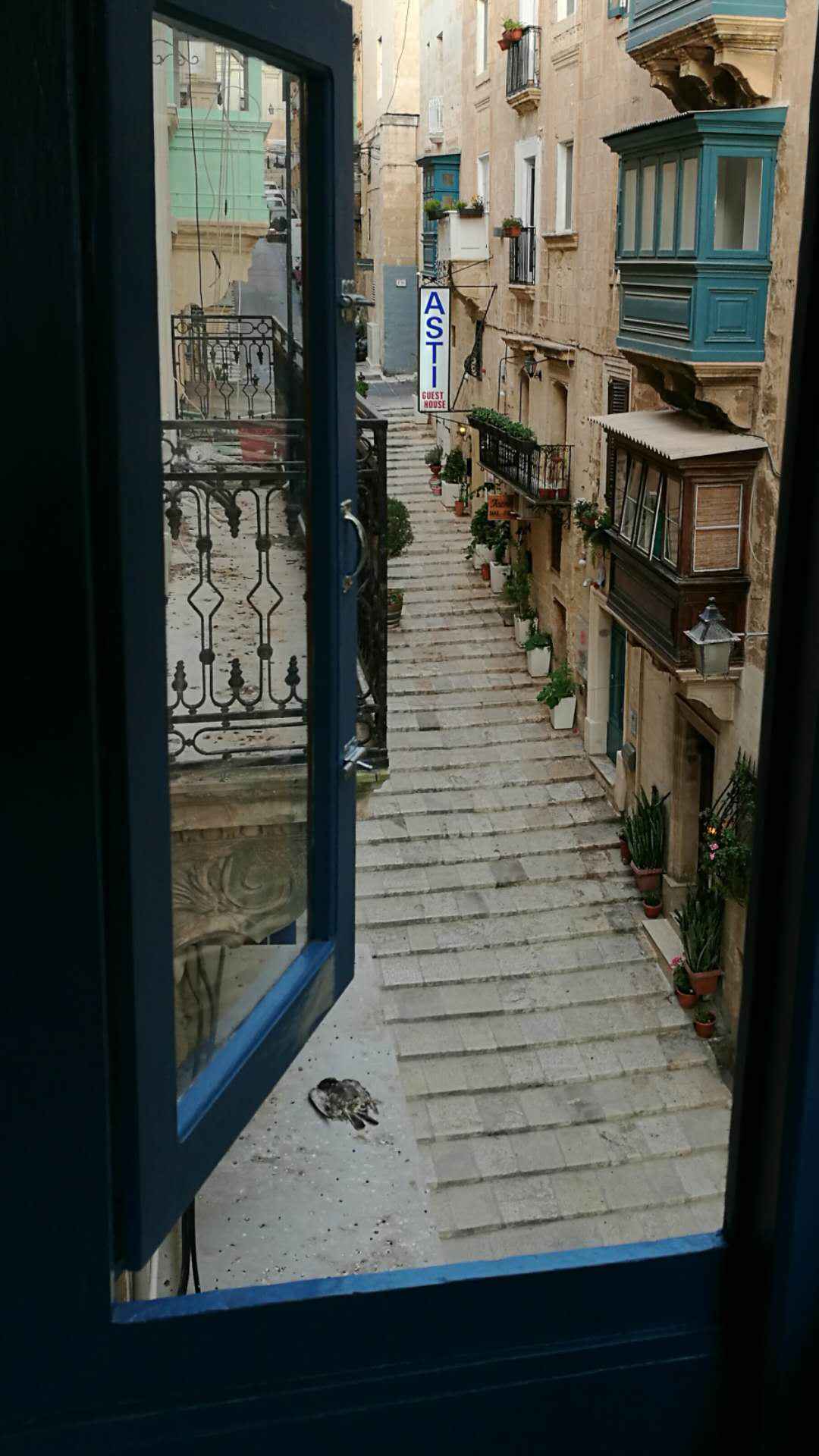 到马耳他去,寻找父母当年的足迹,马耳他自助游