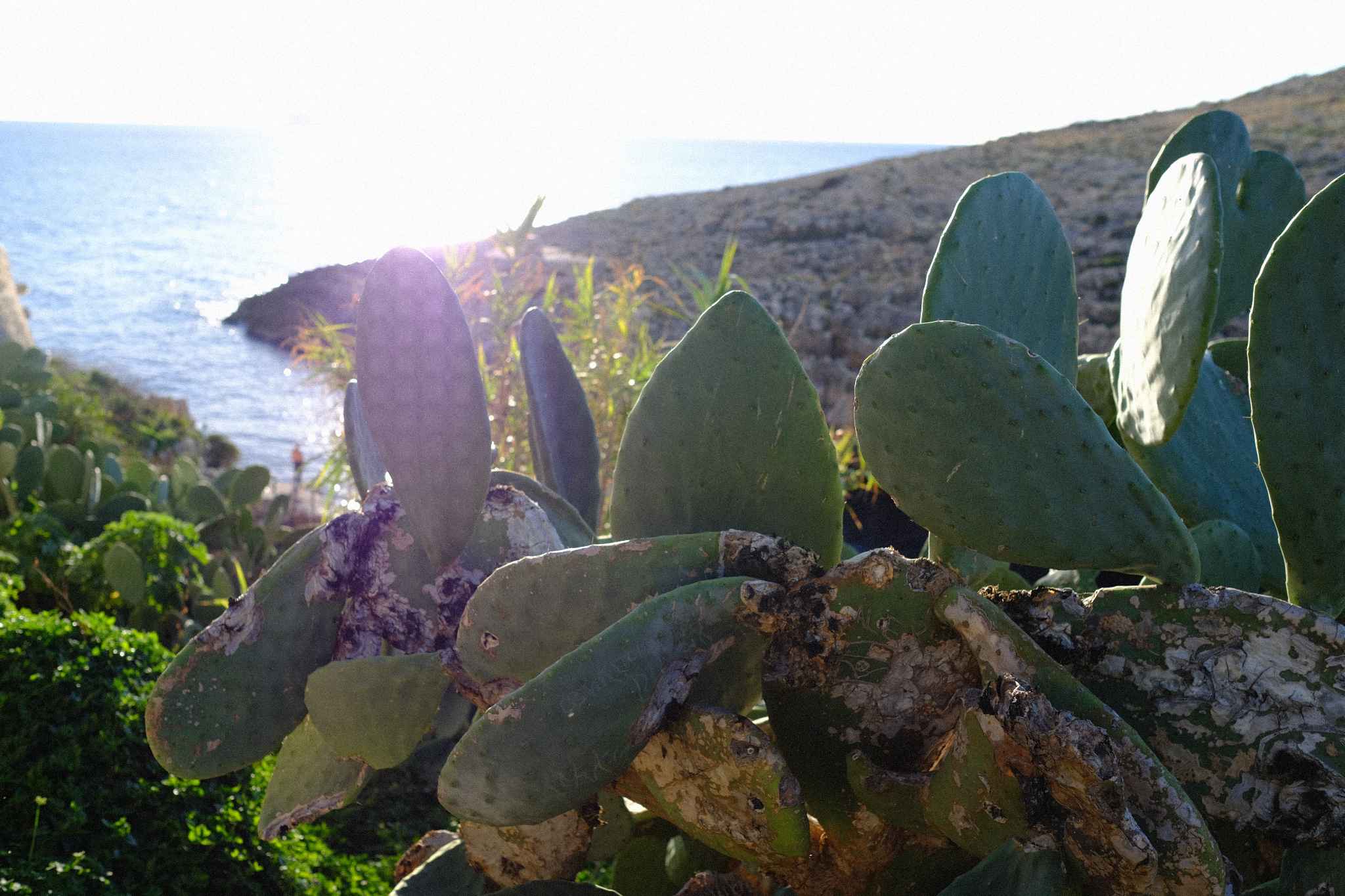 地中海岛国马耳他,马耳他自助游攻略