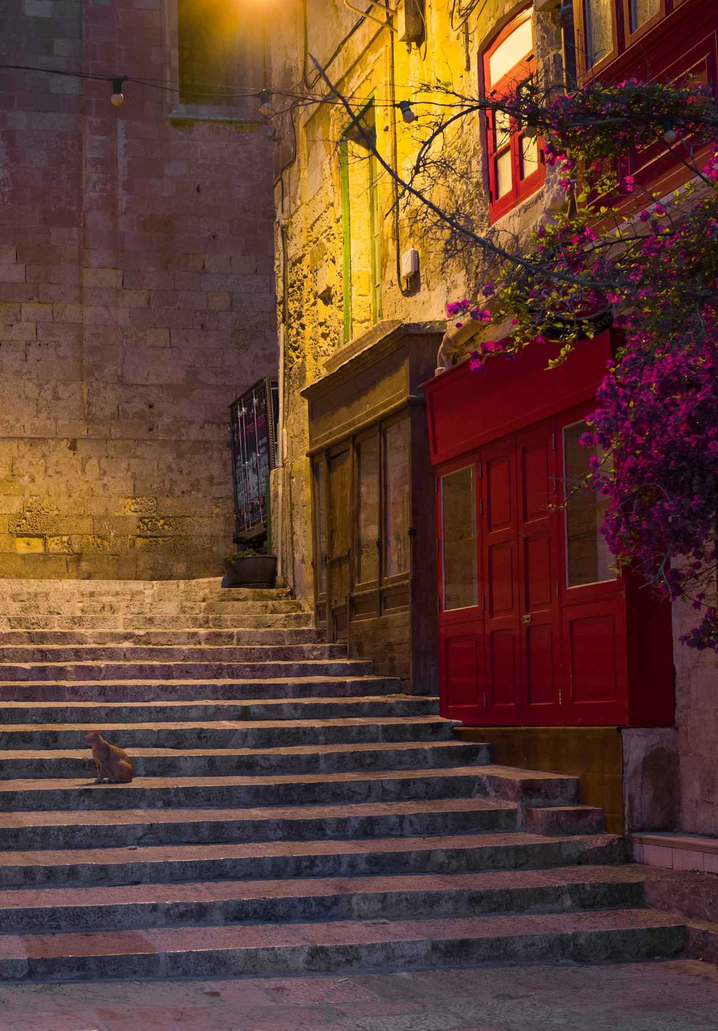 到马耳他去，寻找父母当年的足迹,马耳他旅游攻