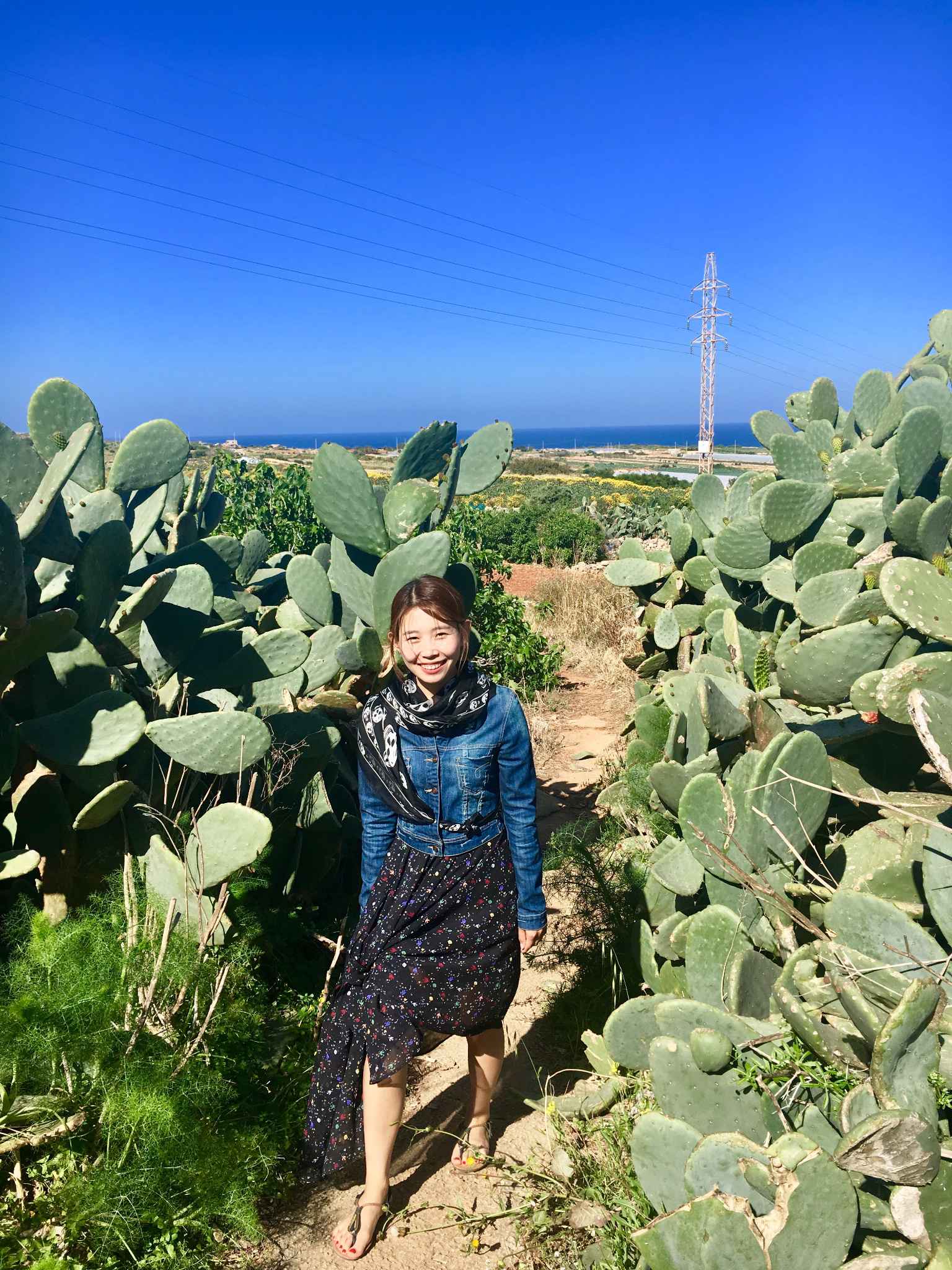 马耳他自驾游,马耳他自助游攻略