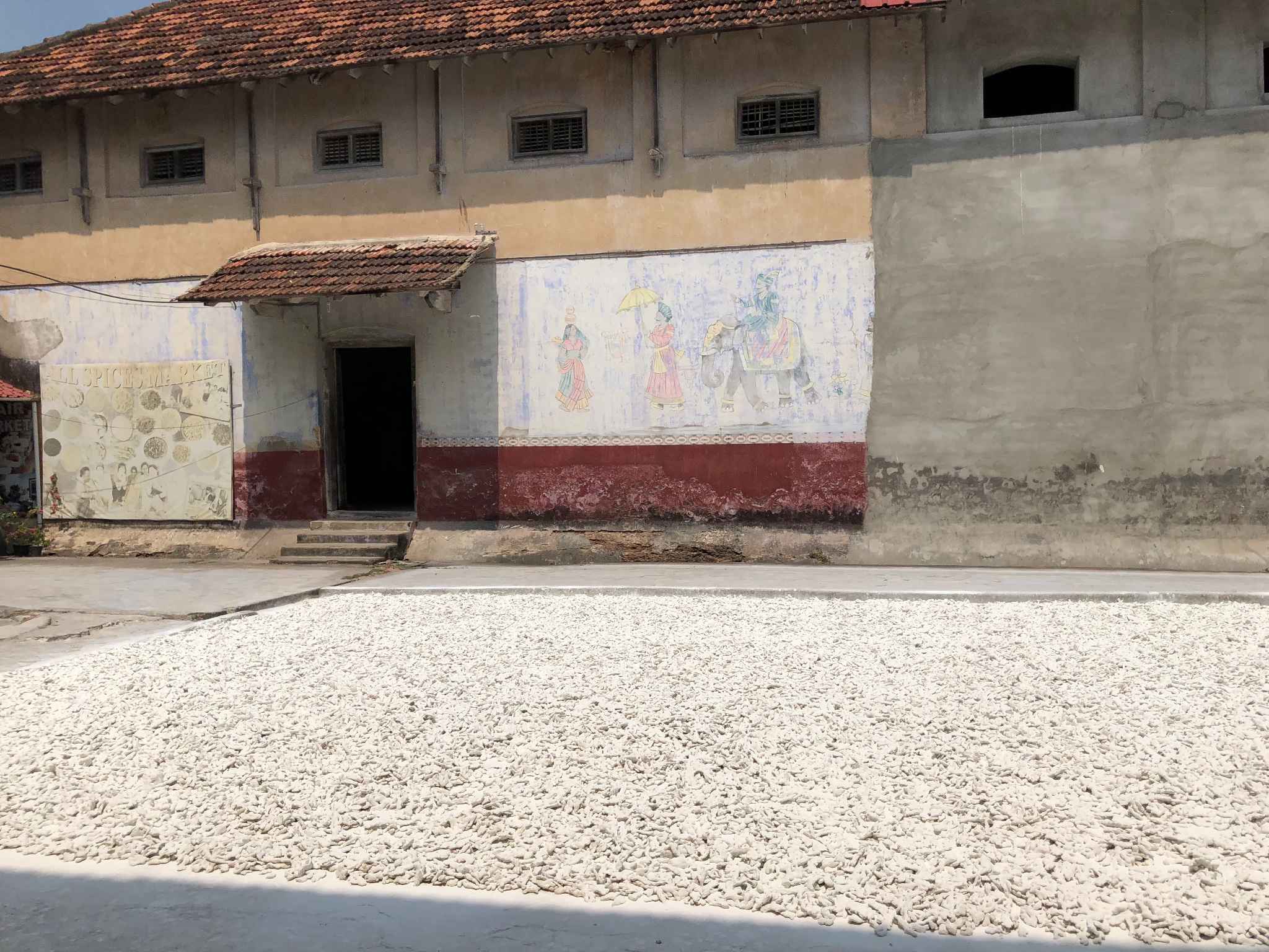 懒人漫游科钦记,马耳他自助游攻略