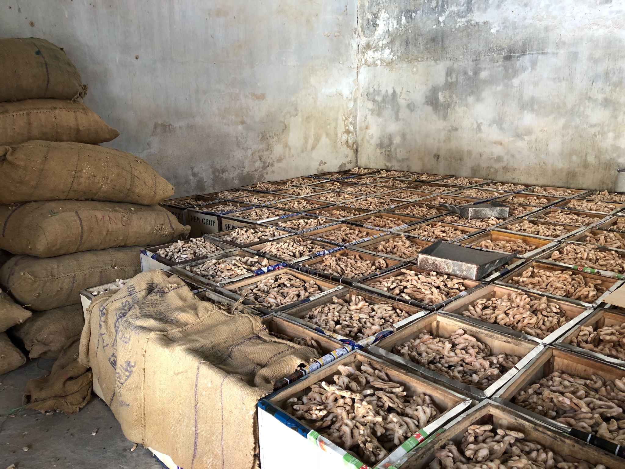 懒人漫游科钦记,马耳他自助游攻略