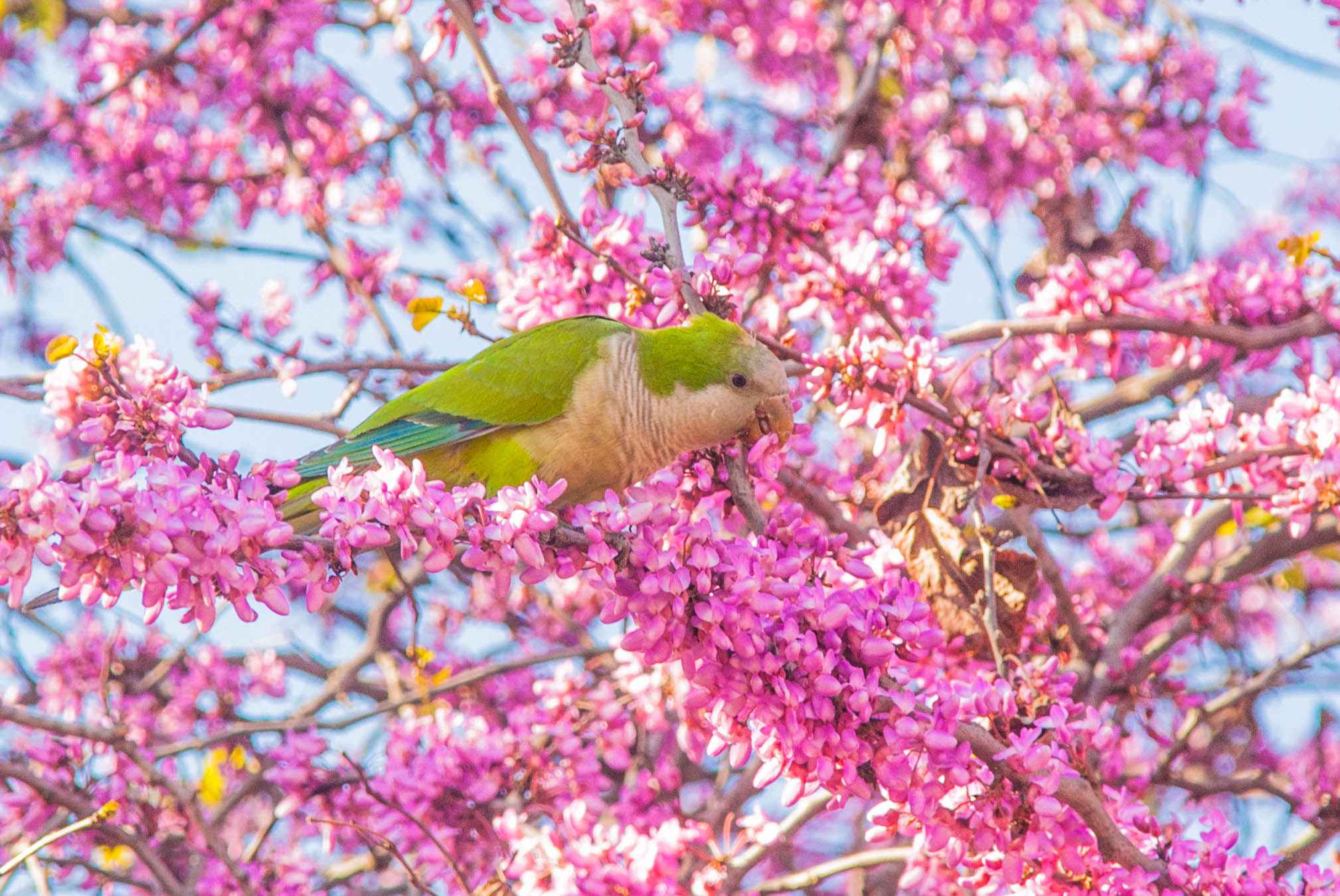 “惊心动破”的意大利“不可思议”的马耳他,马
