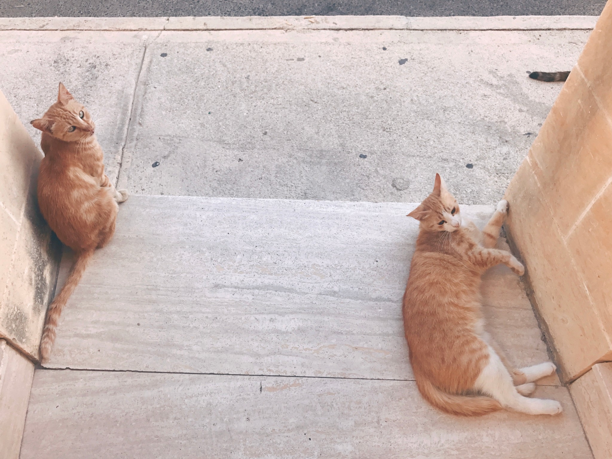 马耳他的喵儿,马耳他旅游攻略