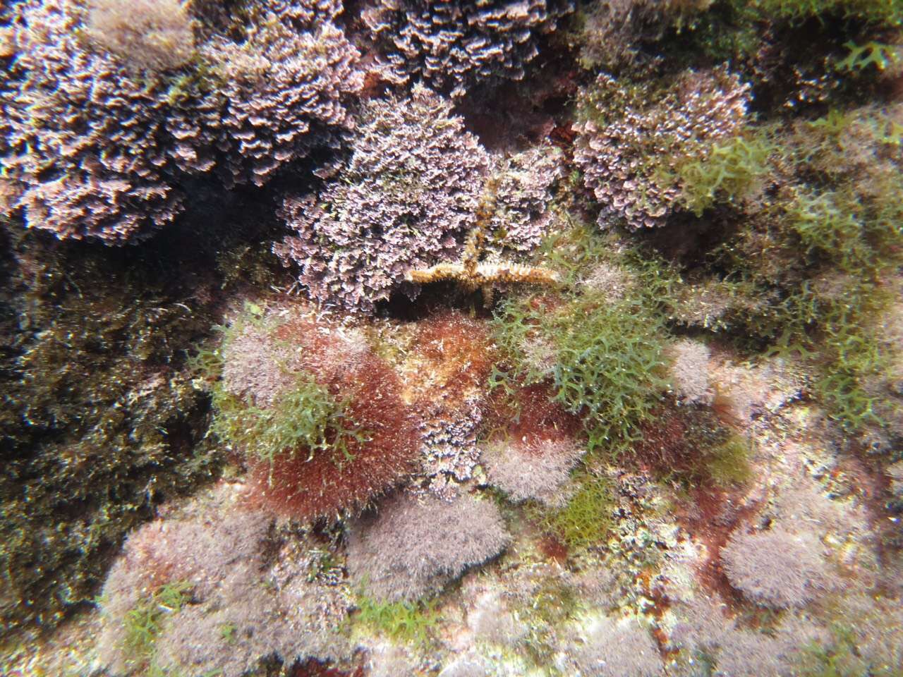 蓝色与灰色的交融,马耳他自助游攻略