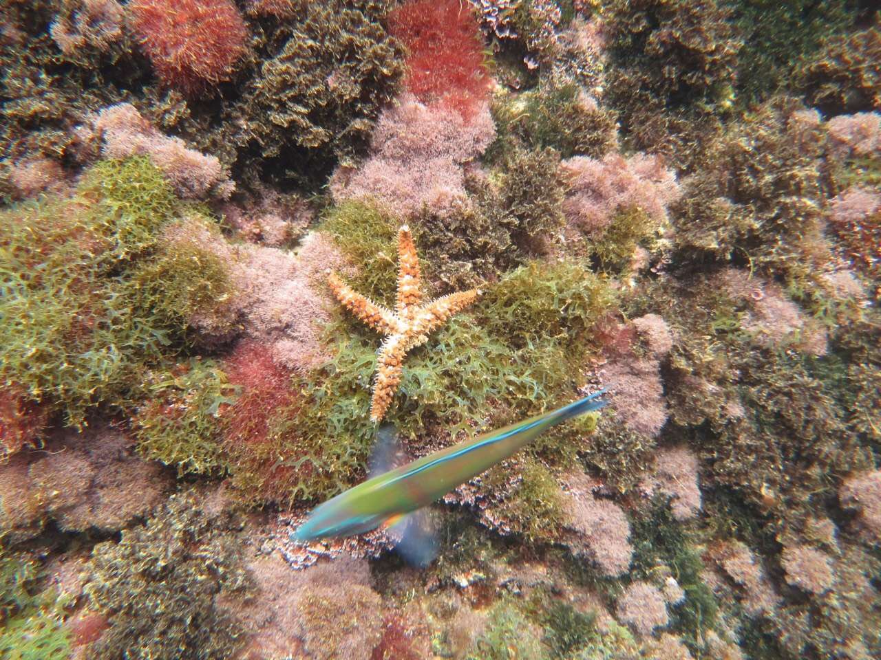 蓝色与灰色的交融,马耳他自助游攻略