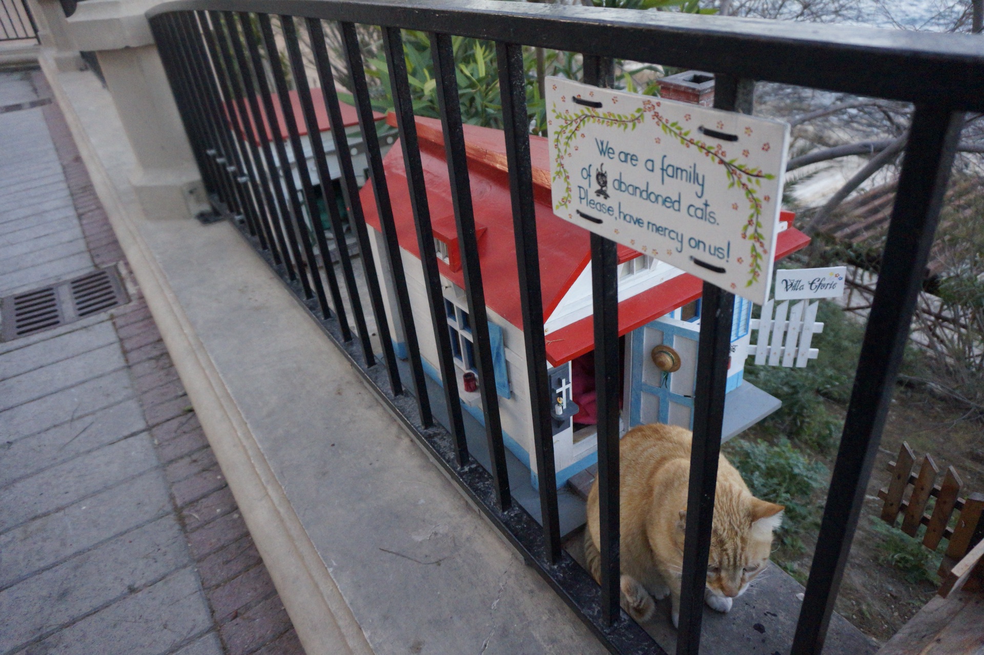 休闲漫步于马耳他,马耳他旅游攻略