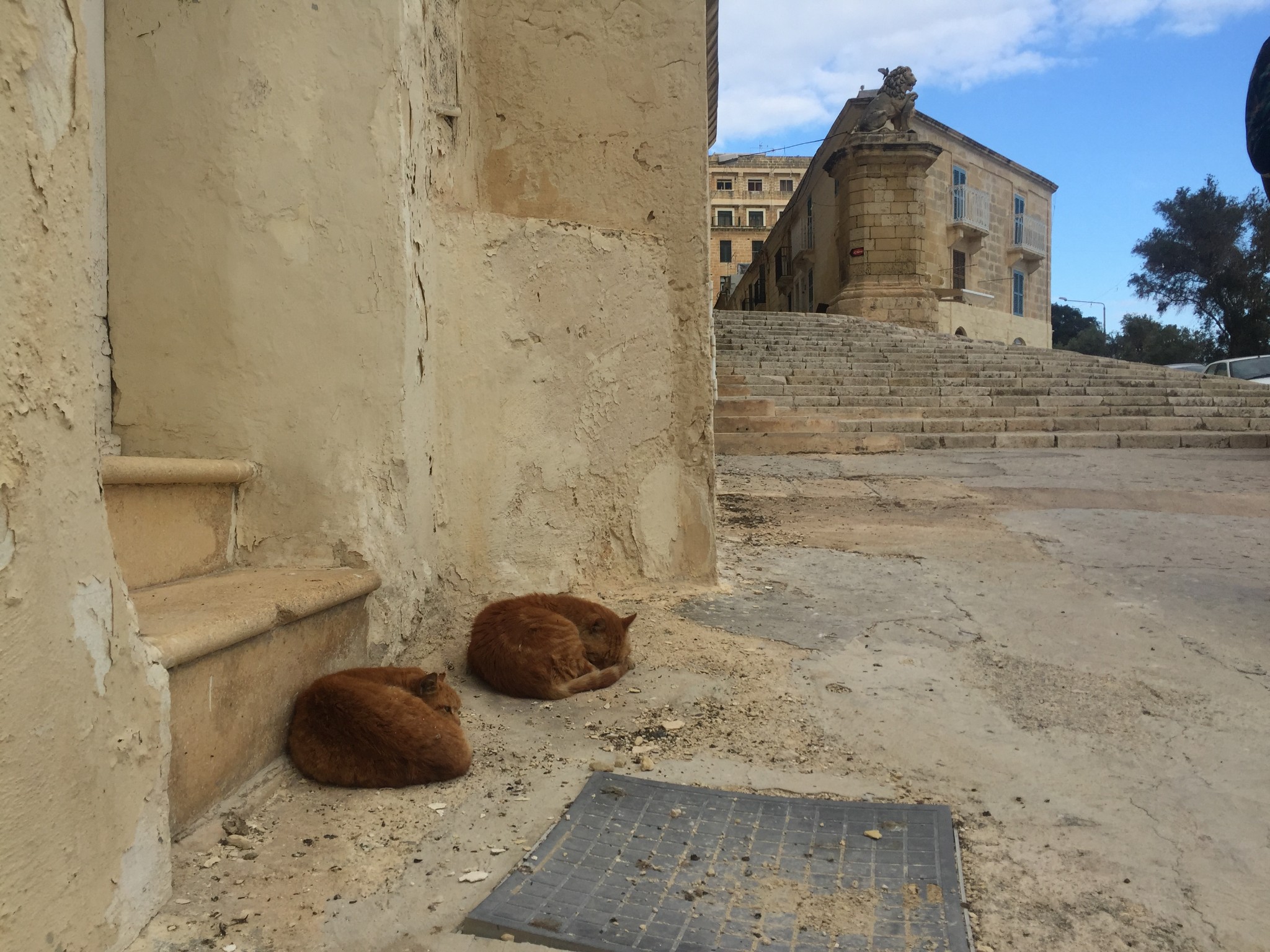 大蘑菇的三天超悠闲度假,马耳他自助游攻略