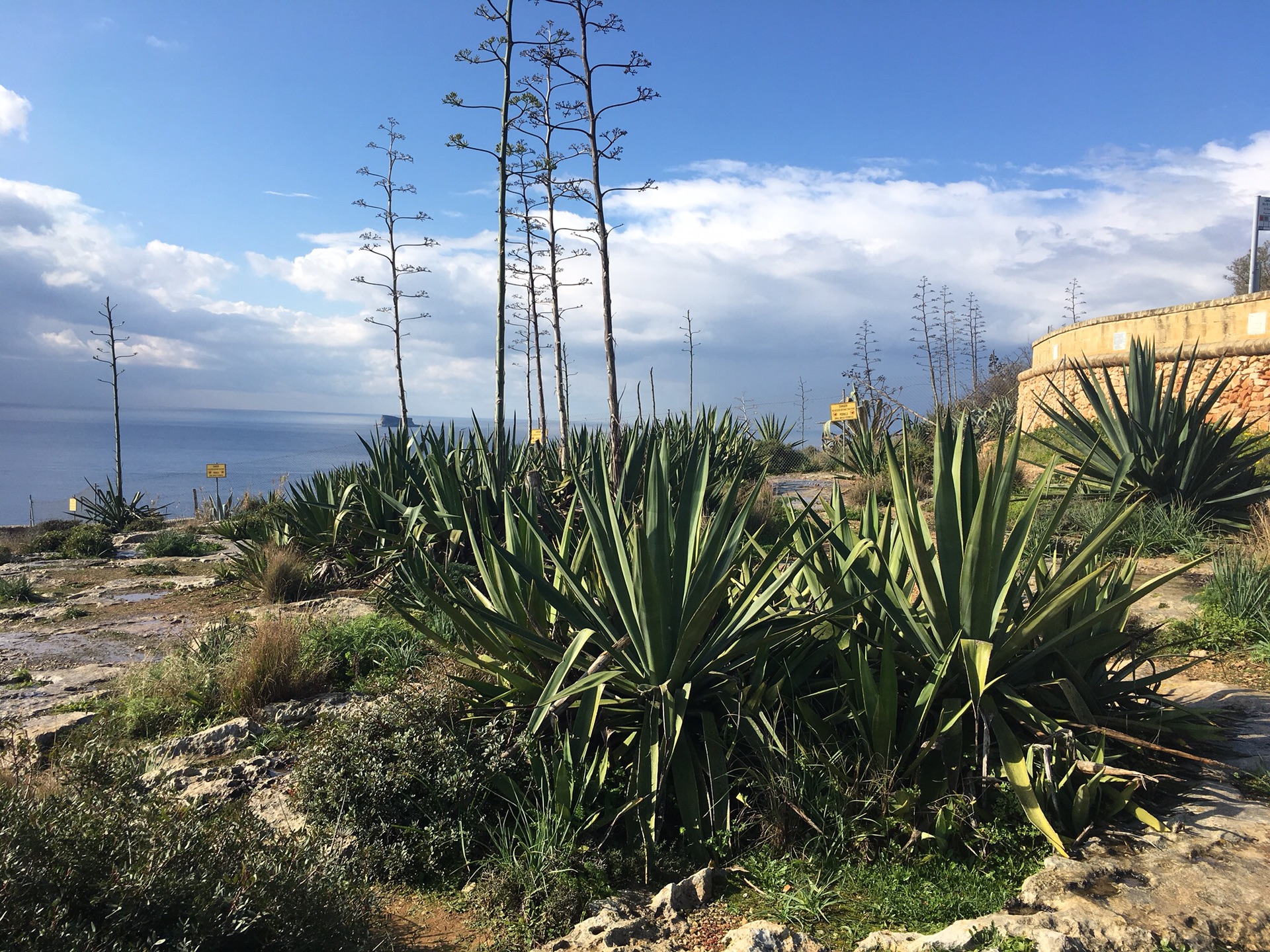 地中海心脏、马耳他冬季暖阳,马耳他自助游攻略