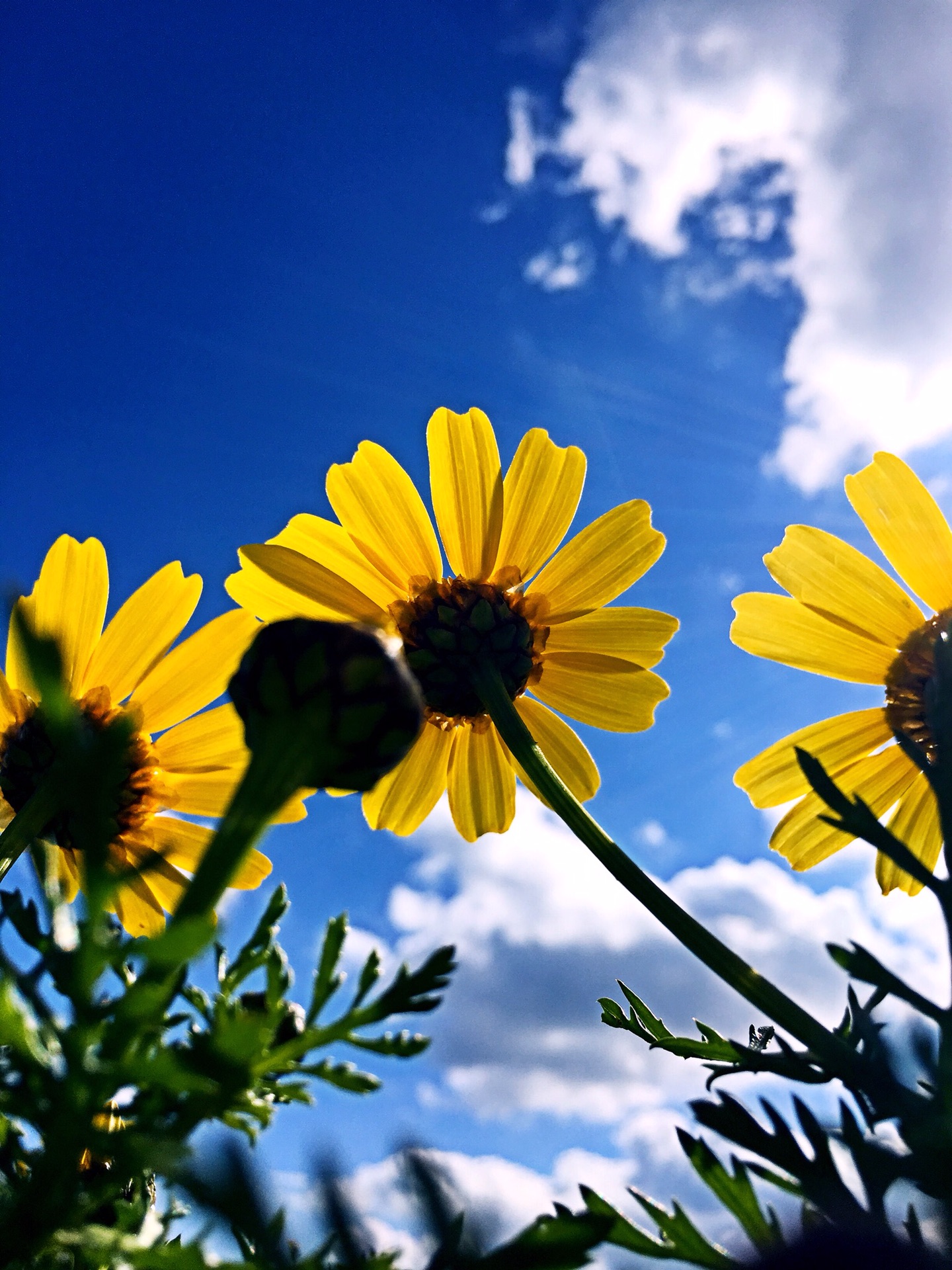 地中海心脏、马耳他冬季暖阳,马耳他自助游攻略