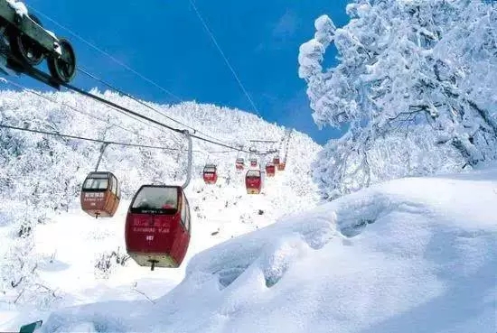 0.webp (7).jpg