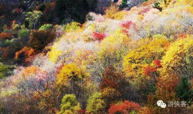  四川赏秋去哪儿
