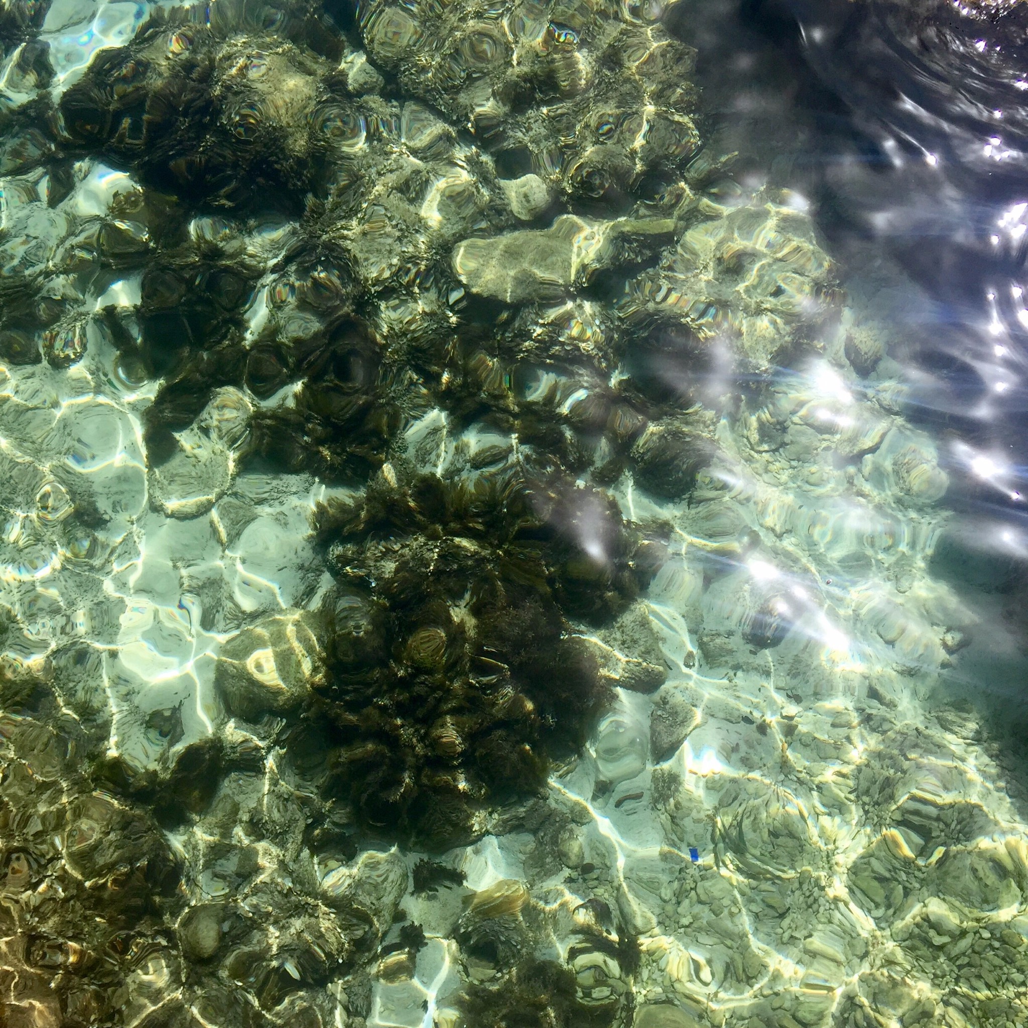 马耳他 Malta,马耳他自助游攻略