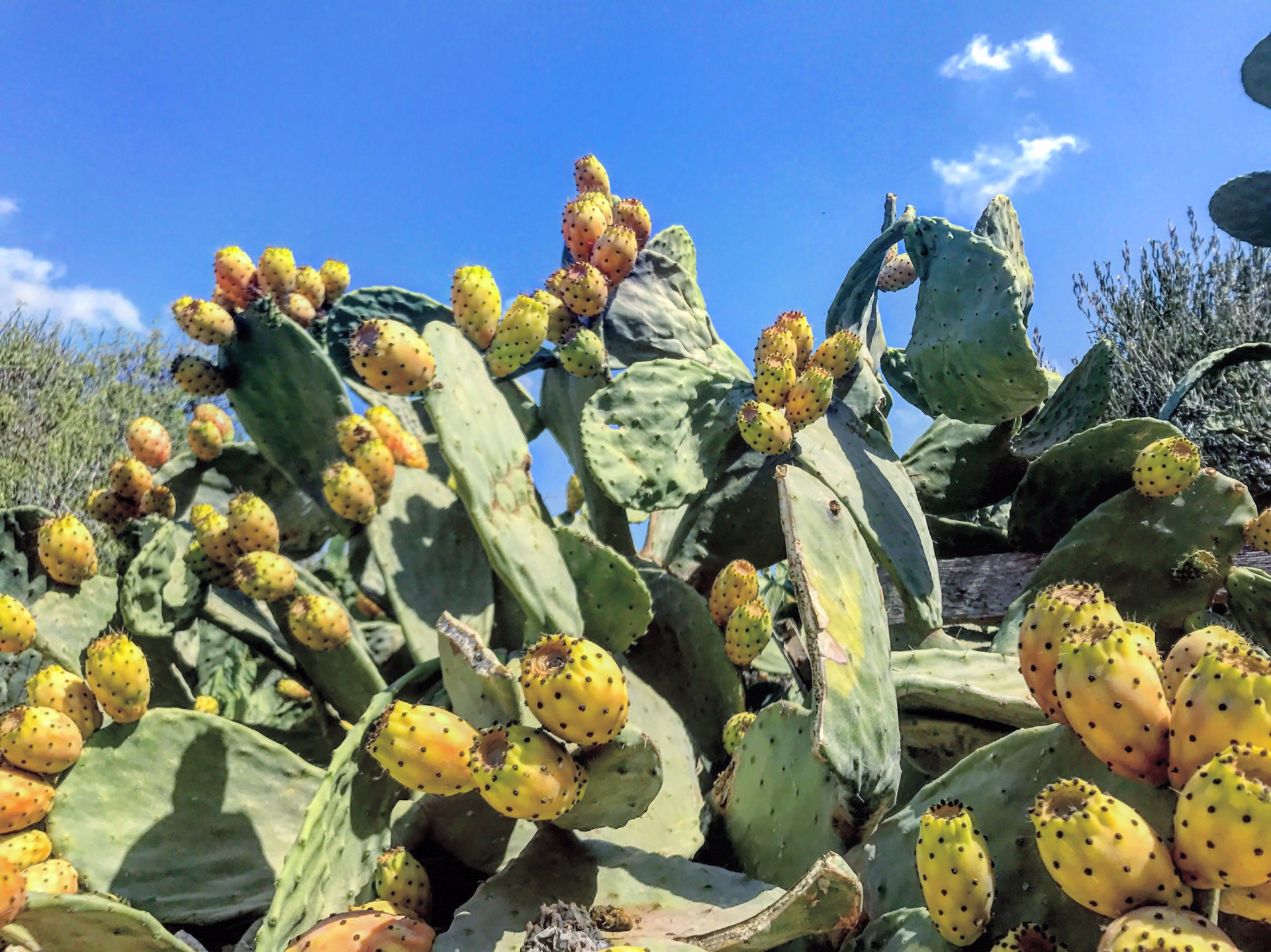 地中海岛国深度游,马耳他自助游攻略