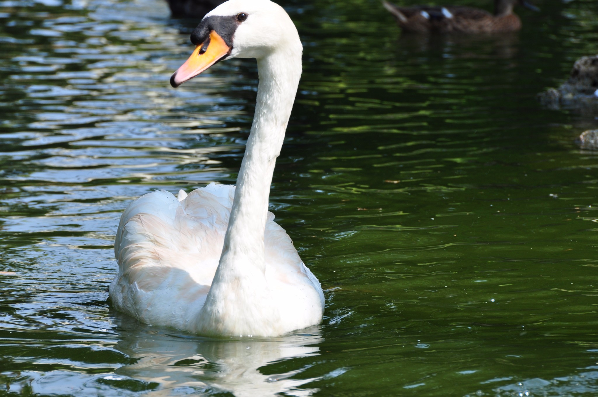 权利的游戏取景地朝圣之旅~感受湛蓝的地中海