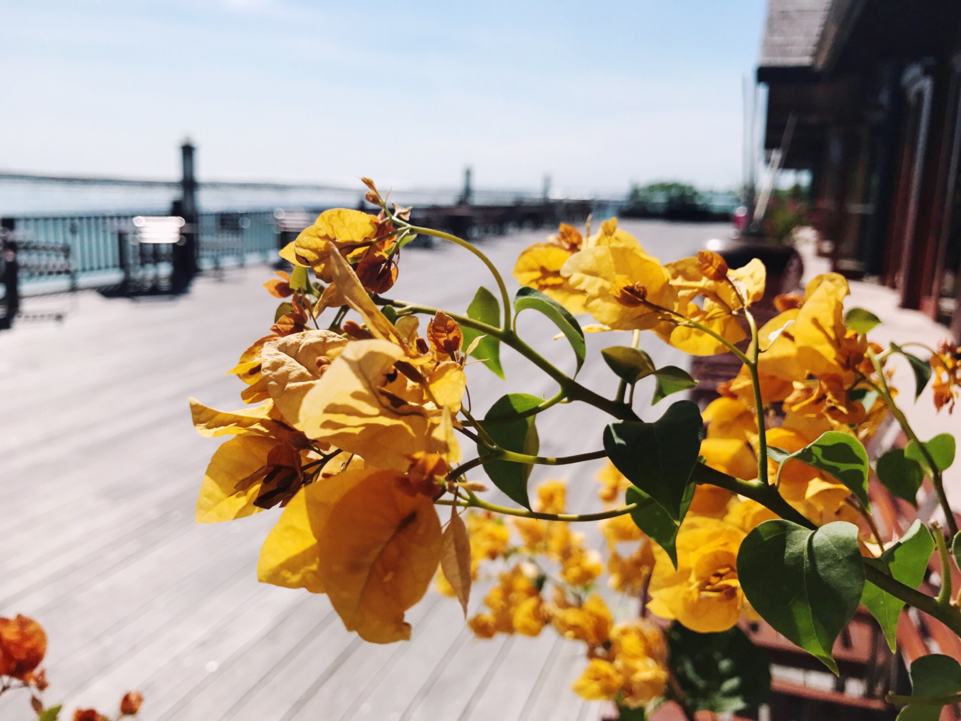 请把自己的身体扔给马尔代夫吧,马耳他自助游攻