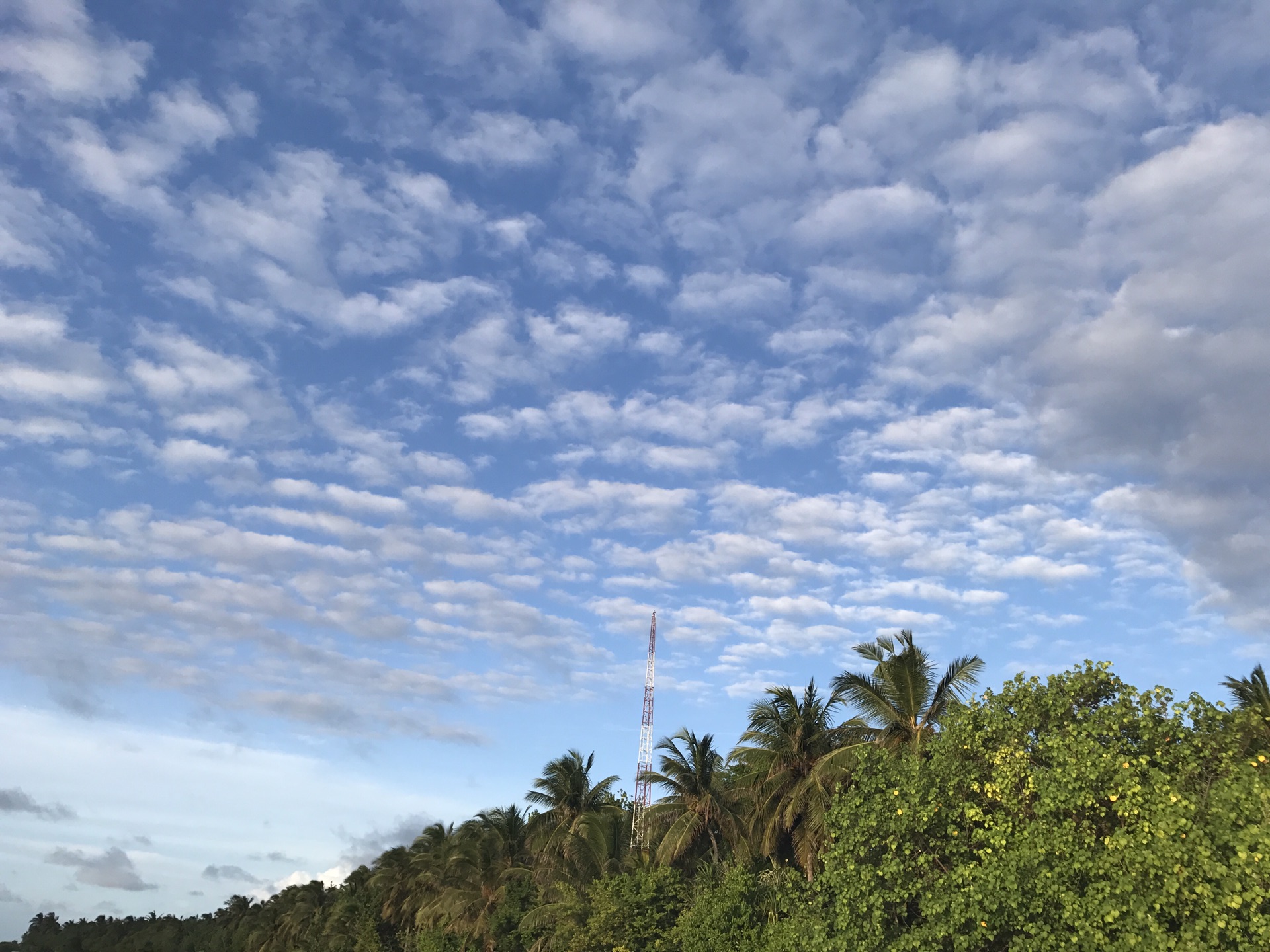 请把自己的身体扔给马尔代夫吧,马耳他自助游攻