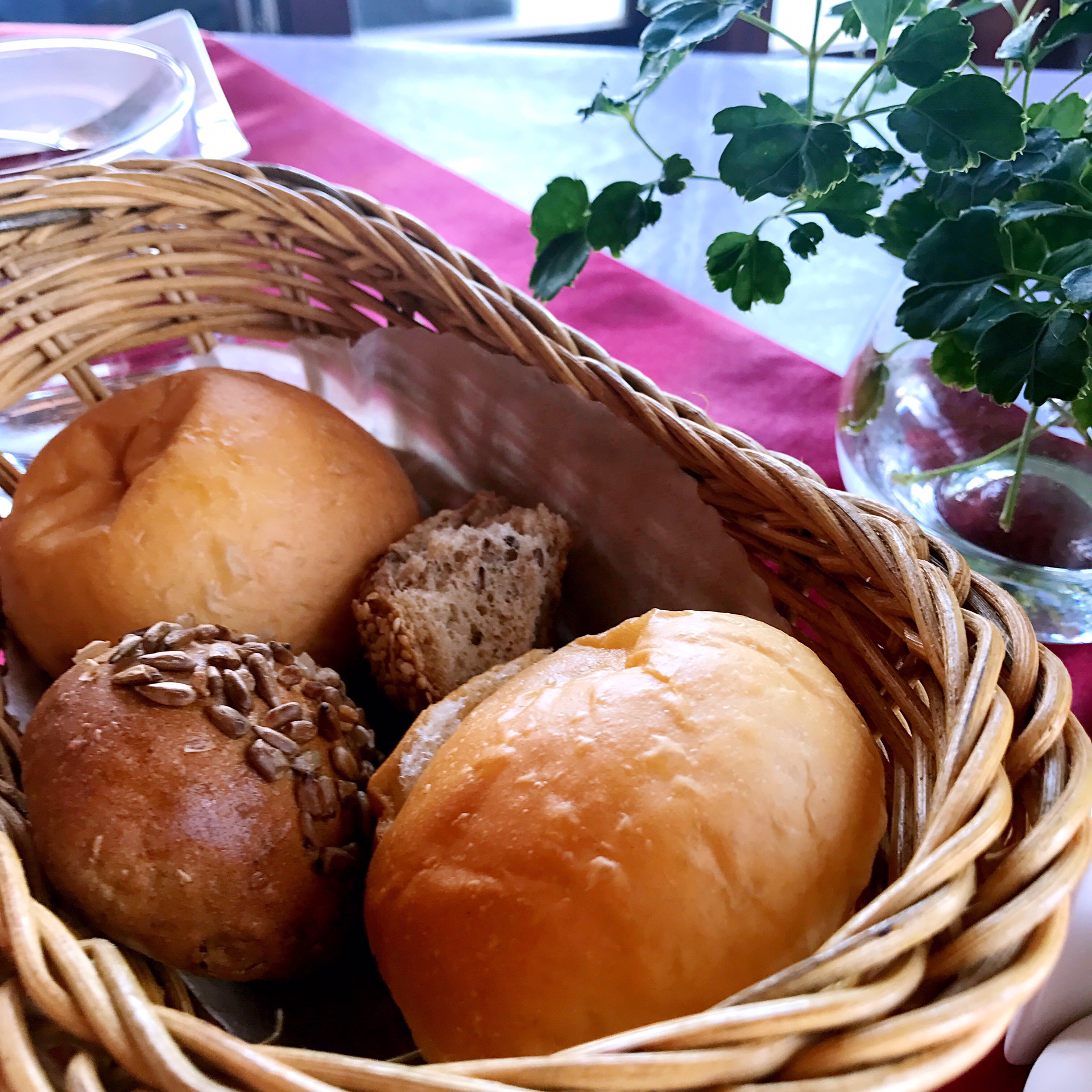 请把自己的身体扔给马尔代夫吧,马耳他自助游攻