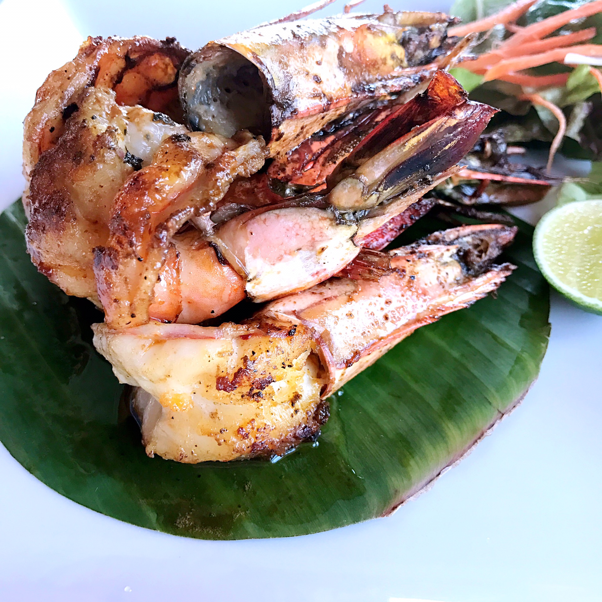 请把自己的身体扔给马尔代夫吧,马耳他自助游攻