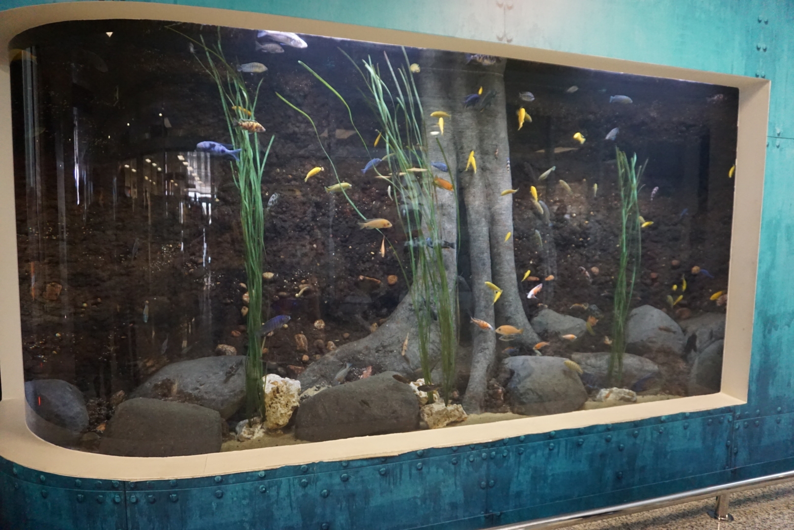 马耳他十日游,马耳他旅游攻略