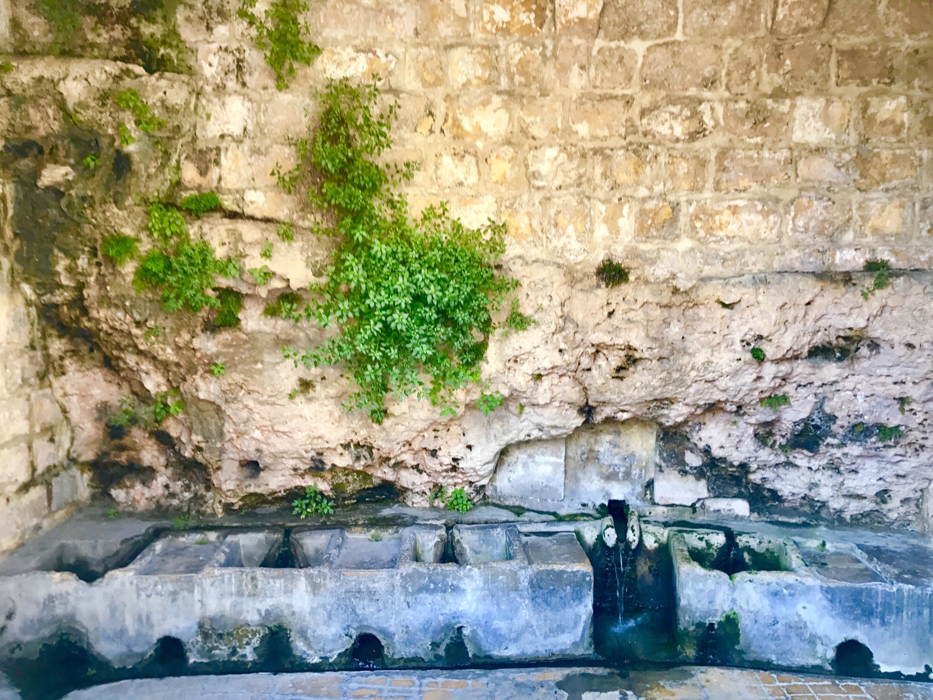 在地中海的心脏，马耳他，放晴心灵休闲放松自